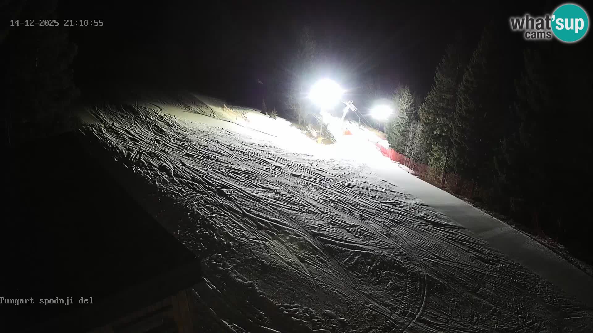 Spletna kamera Kope – Pungart v živo