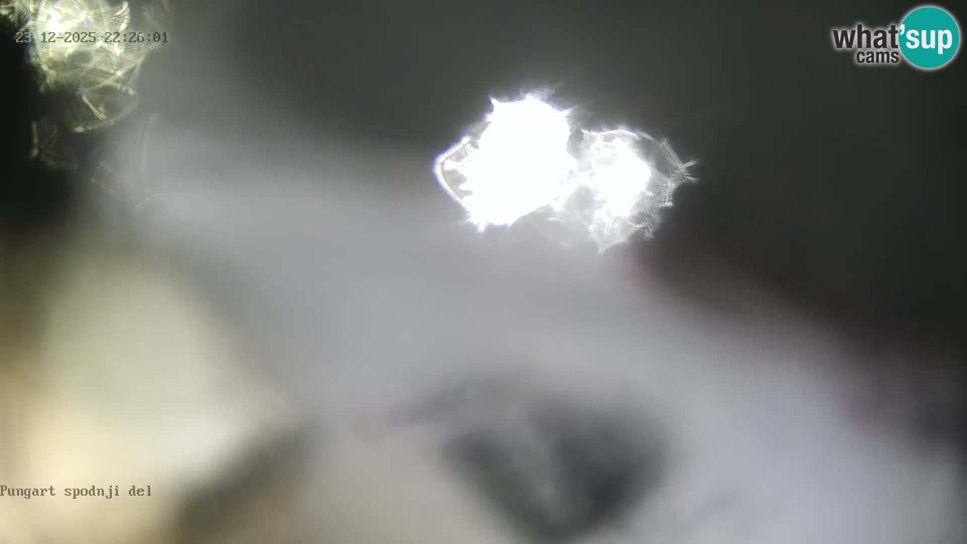 Spletna kamera Kope – Pungart v živo