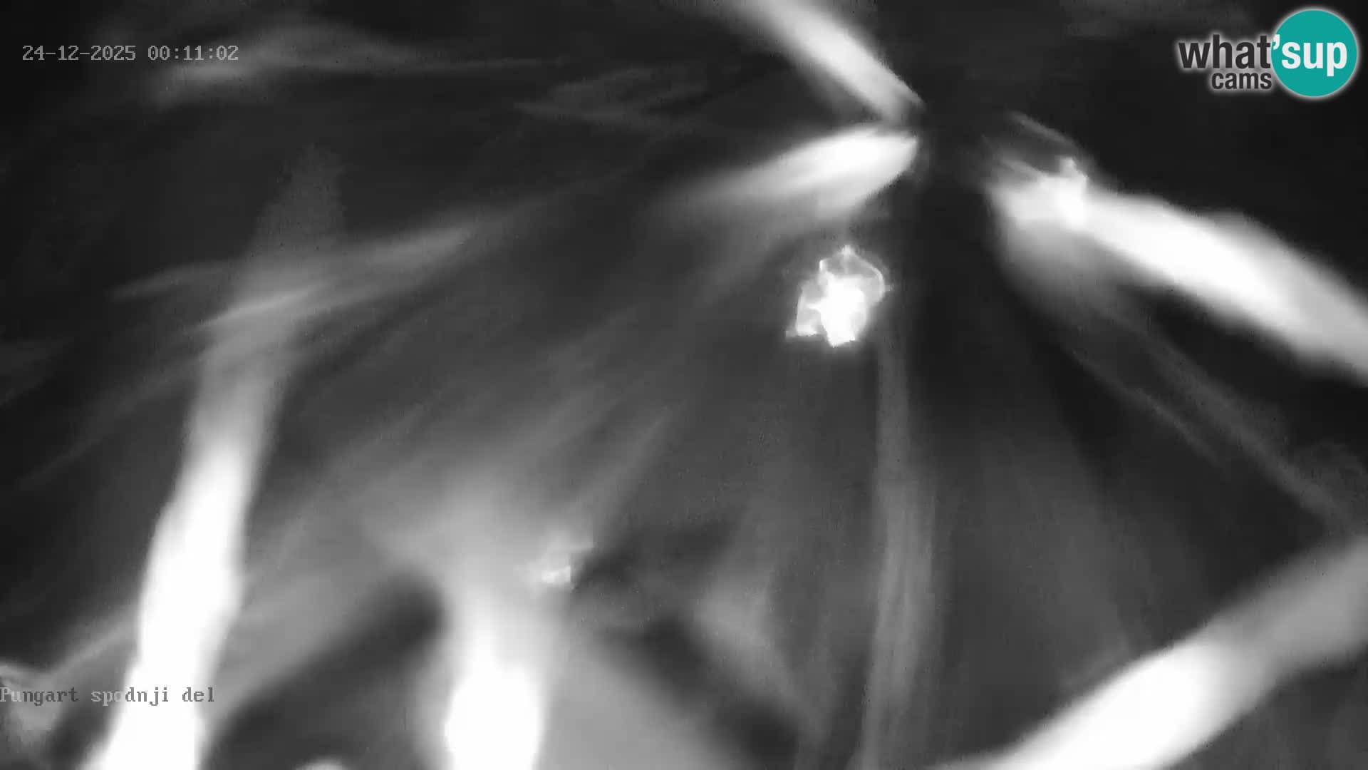 Spletna kamera Kope – Pungart v živo