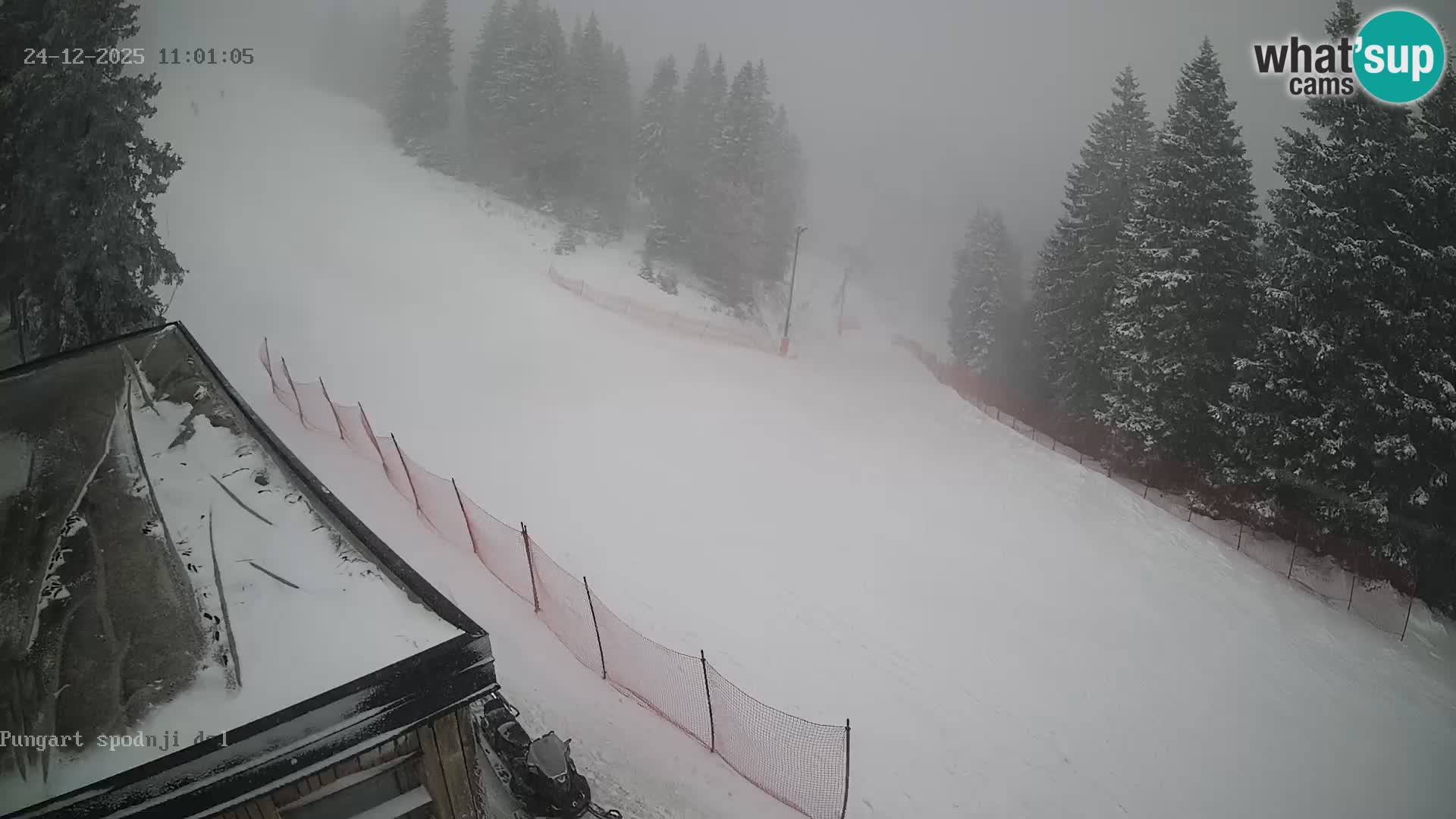 Spletna kamera Kope – Pungart v živo