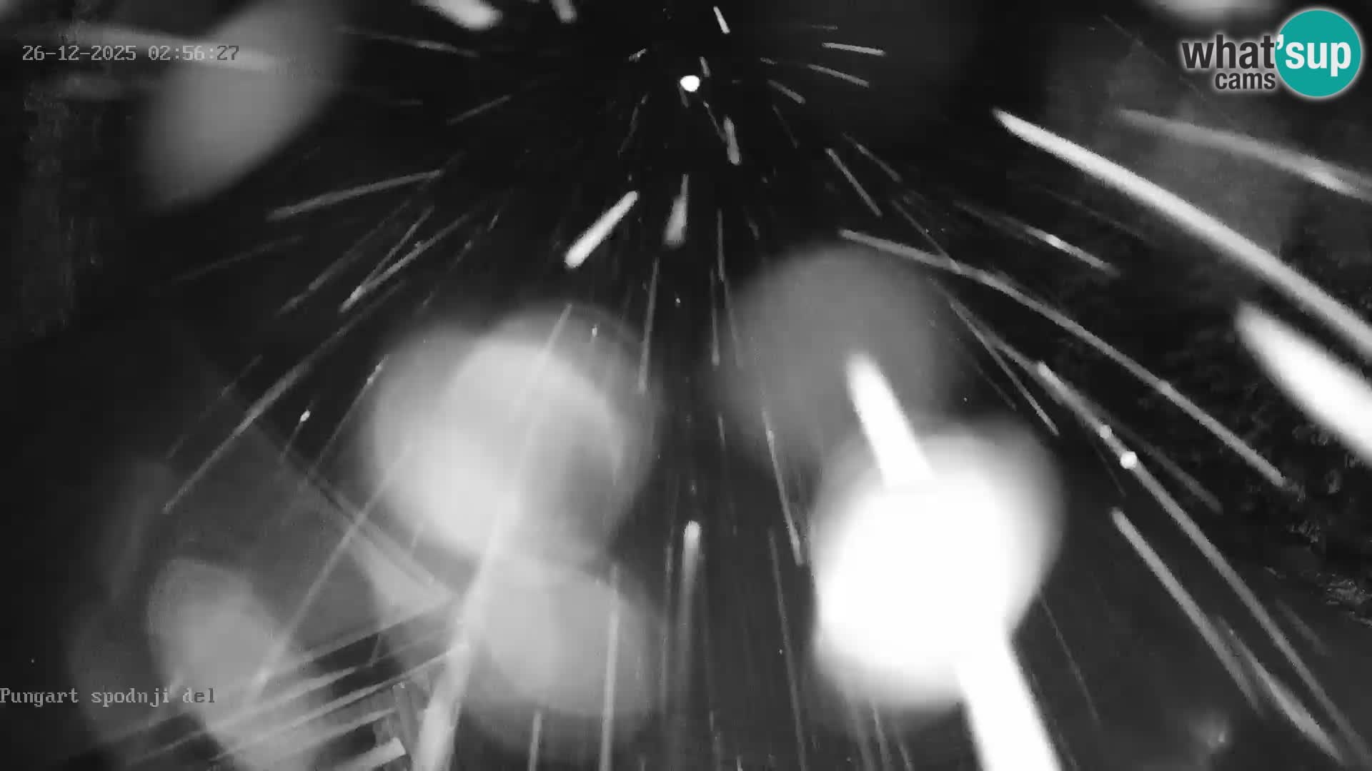 Spletna kamera Kope – Pungart v živo