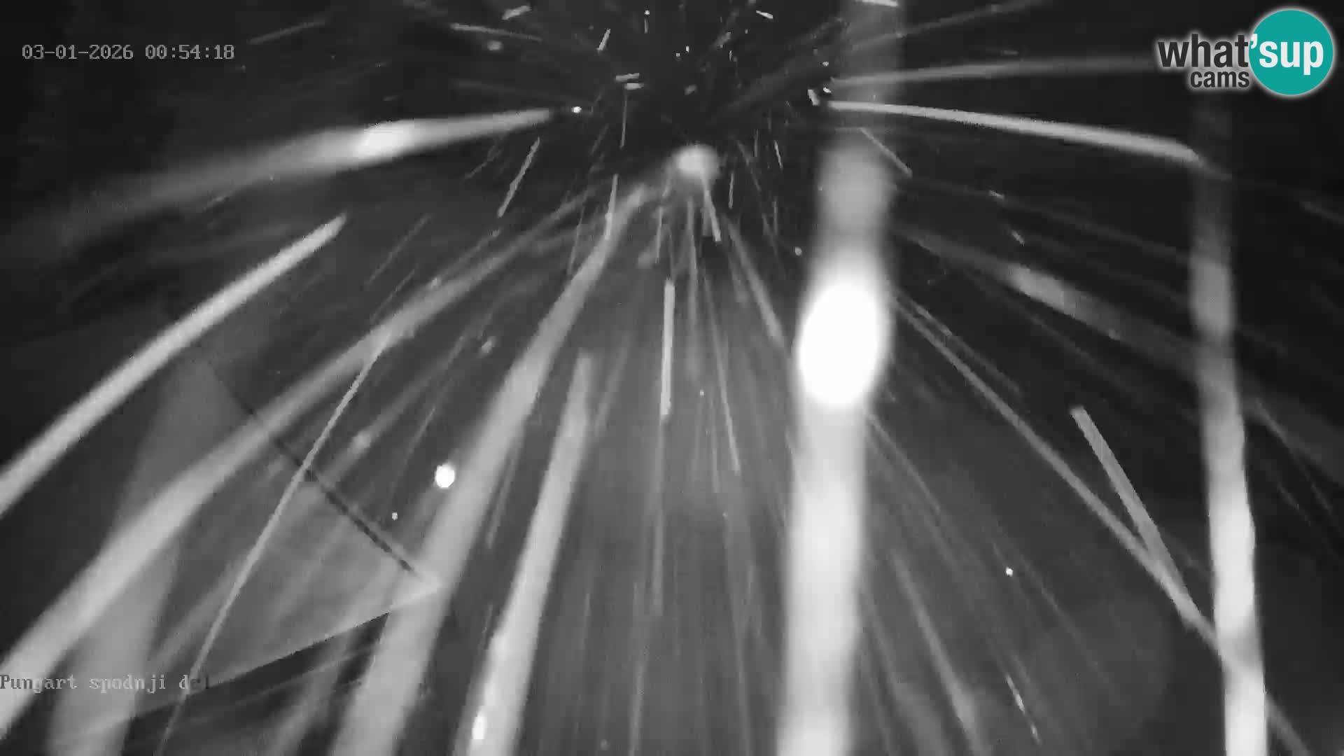 Spletna kamera Kope – Pungart v živo