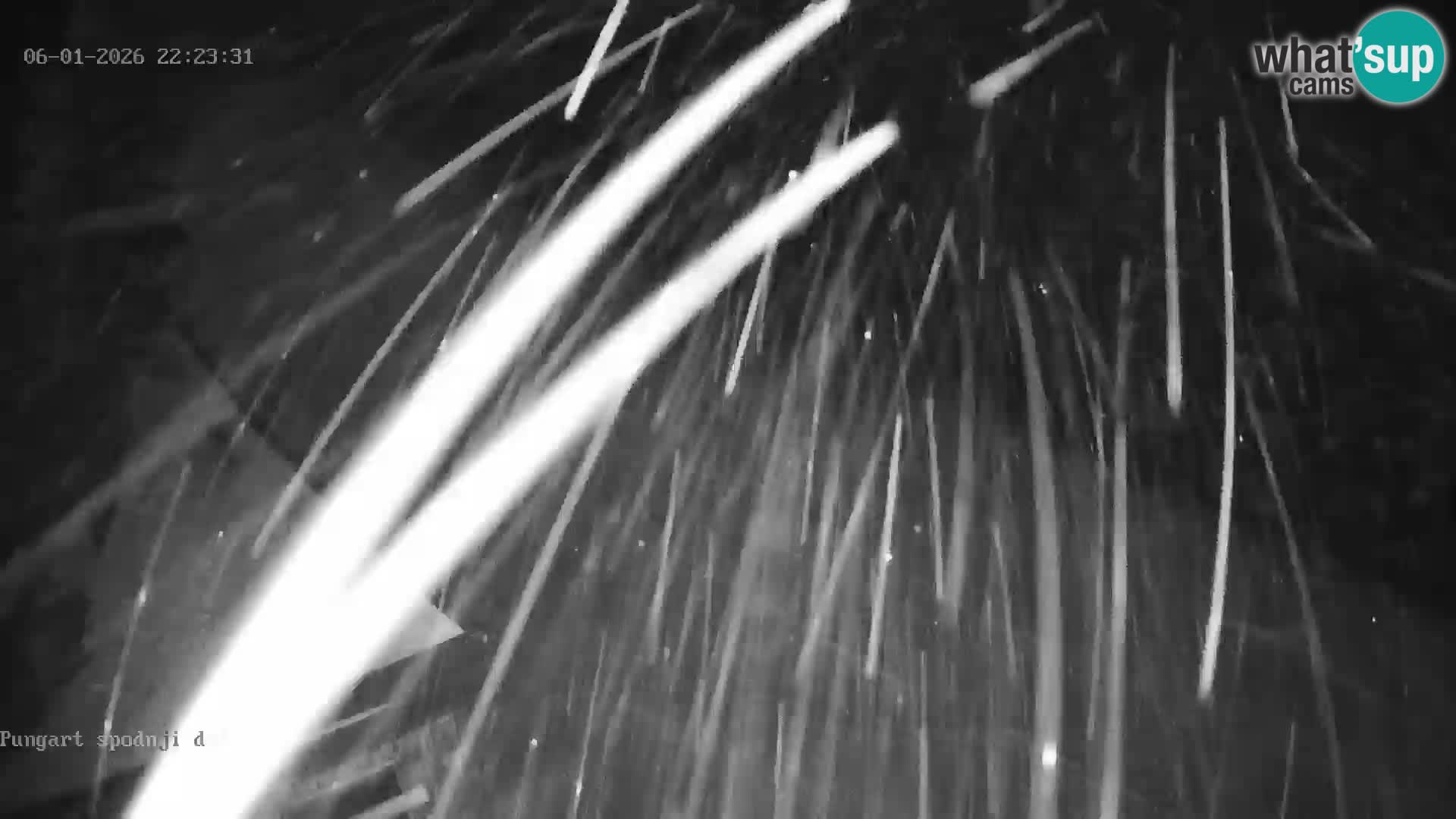 Kope Ski Resort – Webcam Pungart in diretta