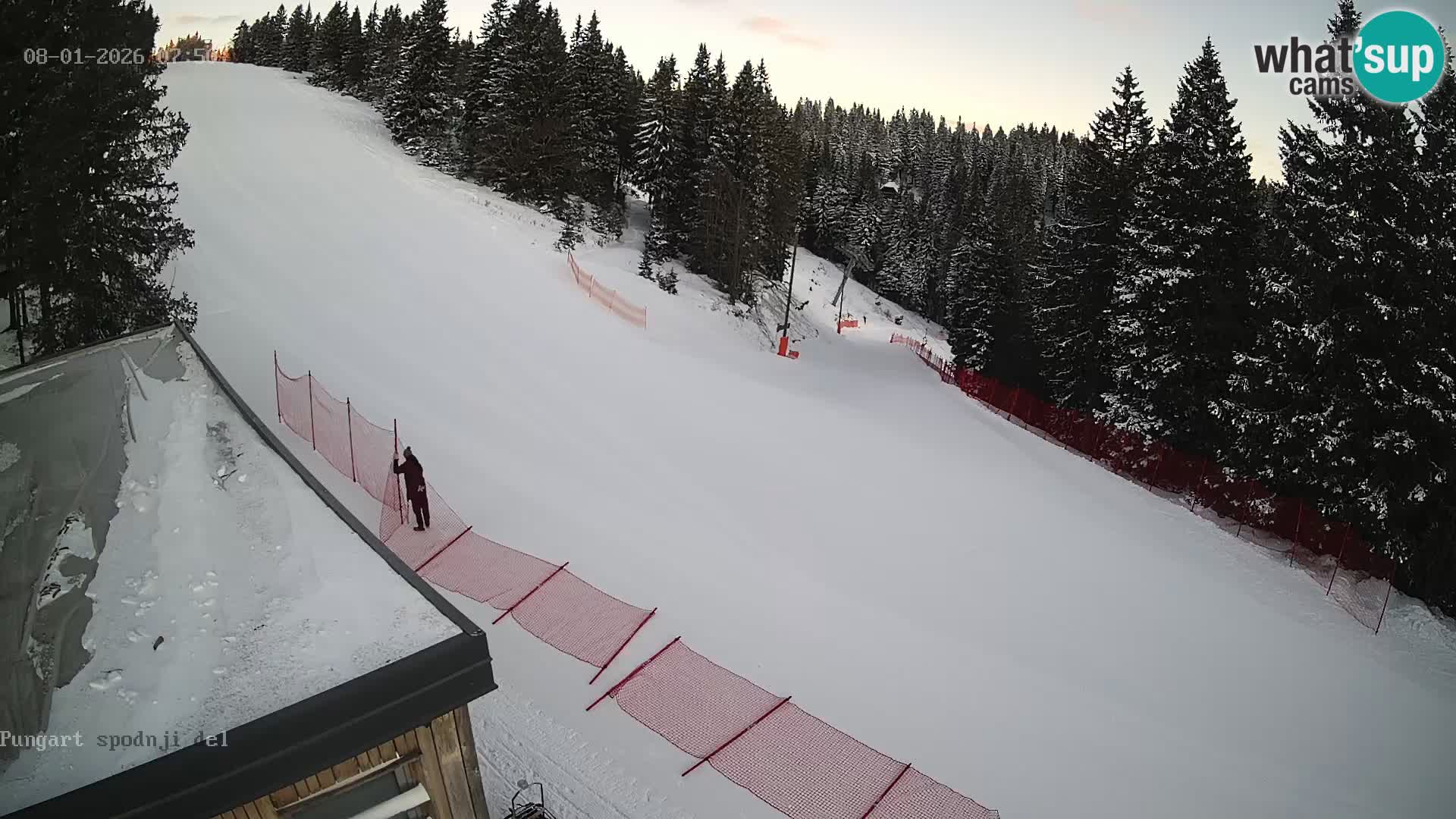 Spletna kamera Kope – Pungart v živo