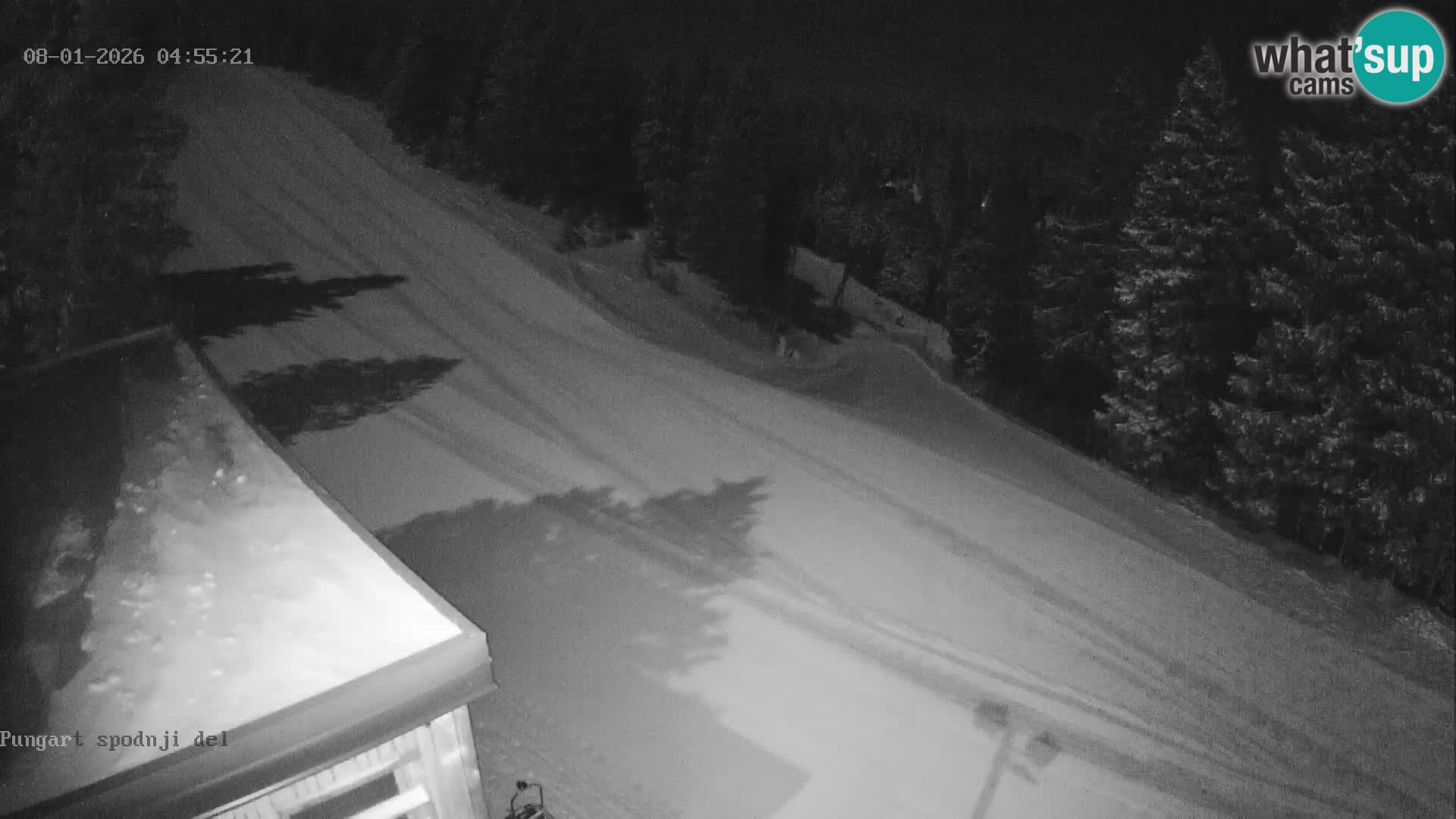 Spletna kamera Kope – Pungart v živo