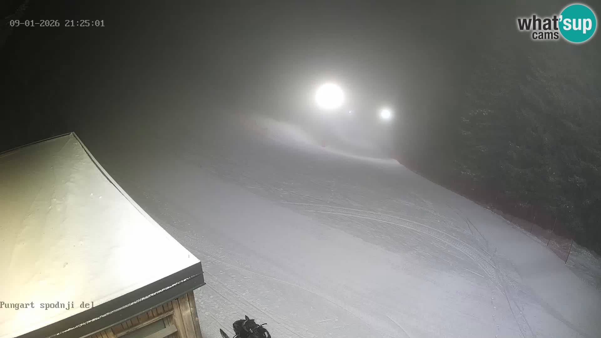 Spletna kamera Kope – Pungart v živo