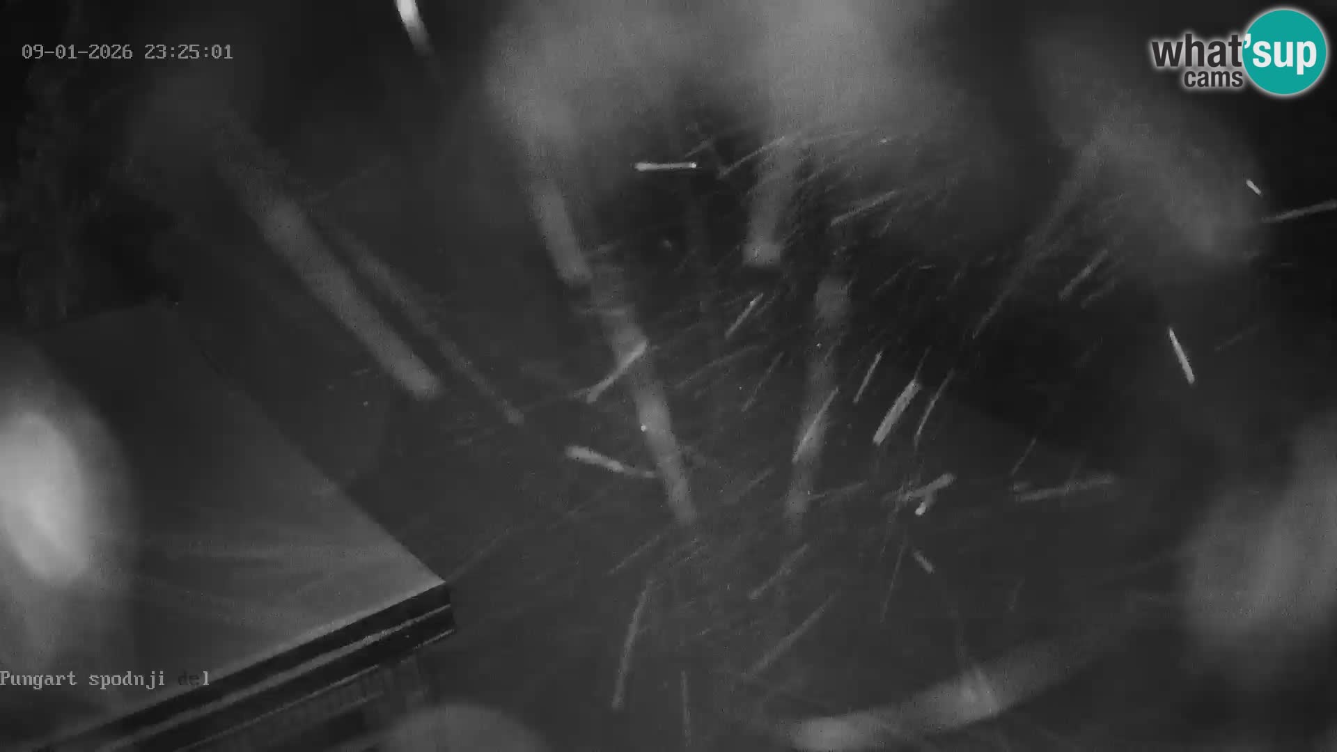 Spletna kamera Kope – Pungart v živo