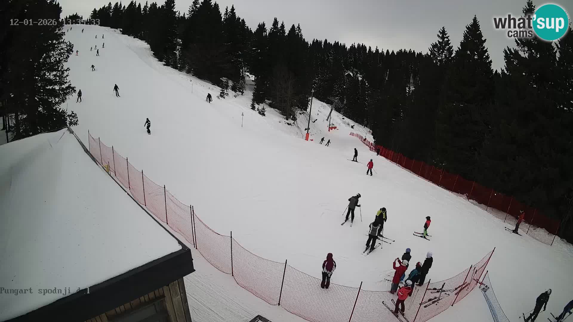 Spletna kamera Kope – Pungart v živo