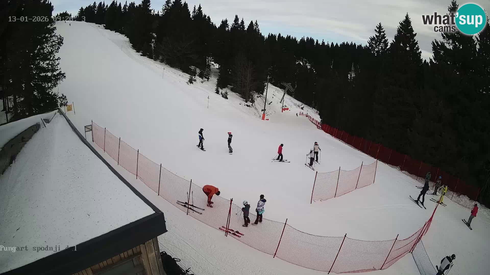 Spletna kamera Kope – Pungart v živo