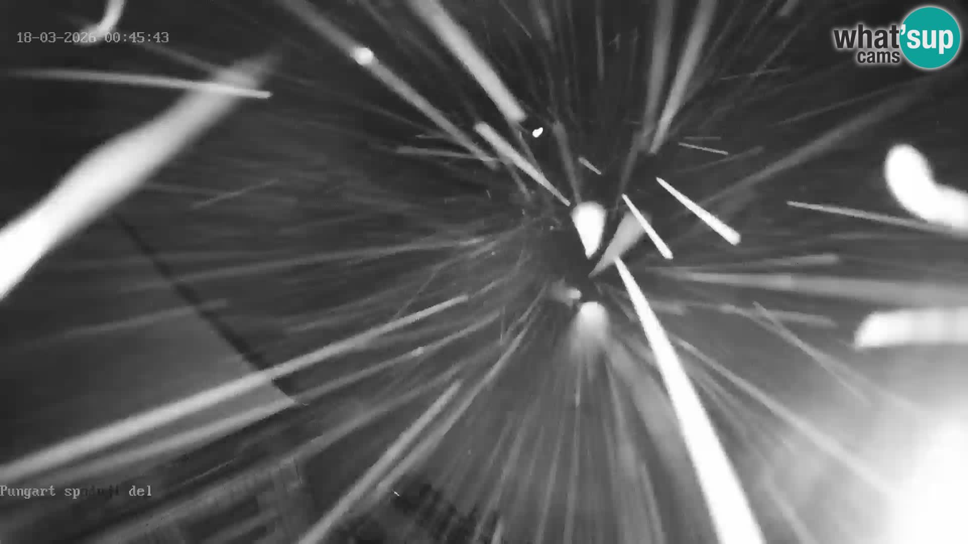 Kope Ski Resort – Pungart Live Webcam