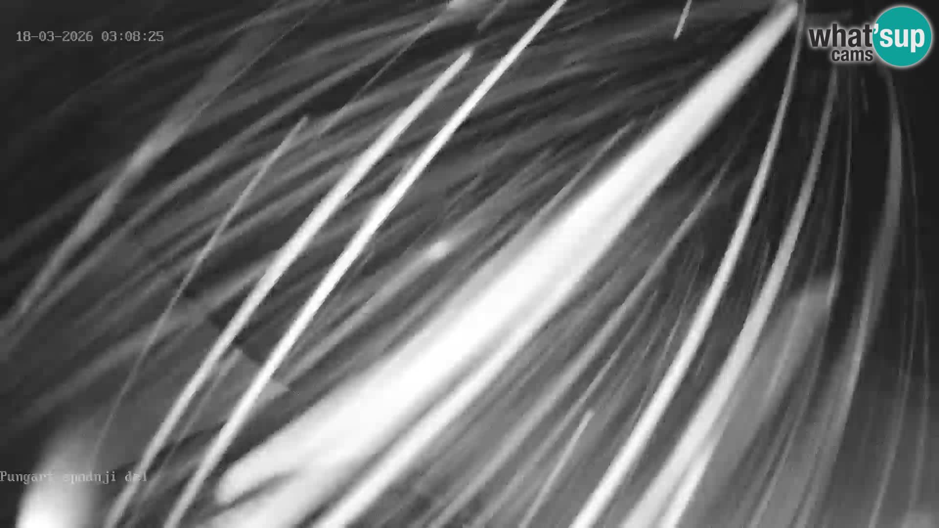 Kope Ski Resort – Webcam Pungart in diretta