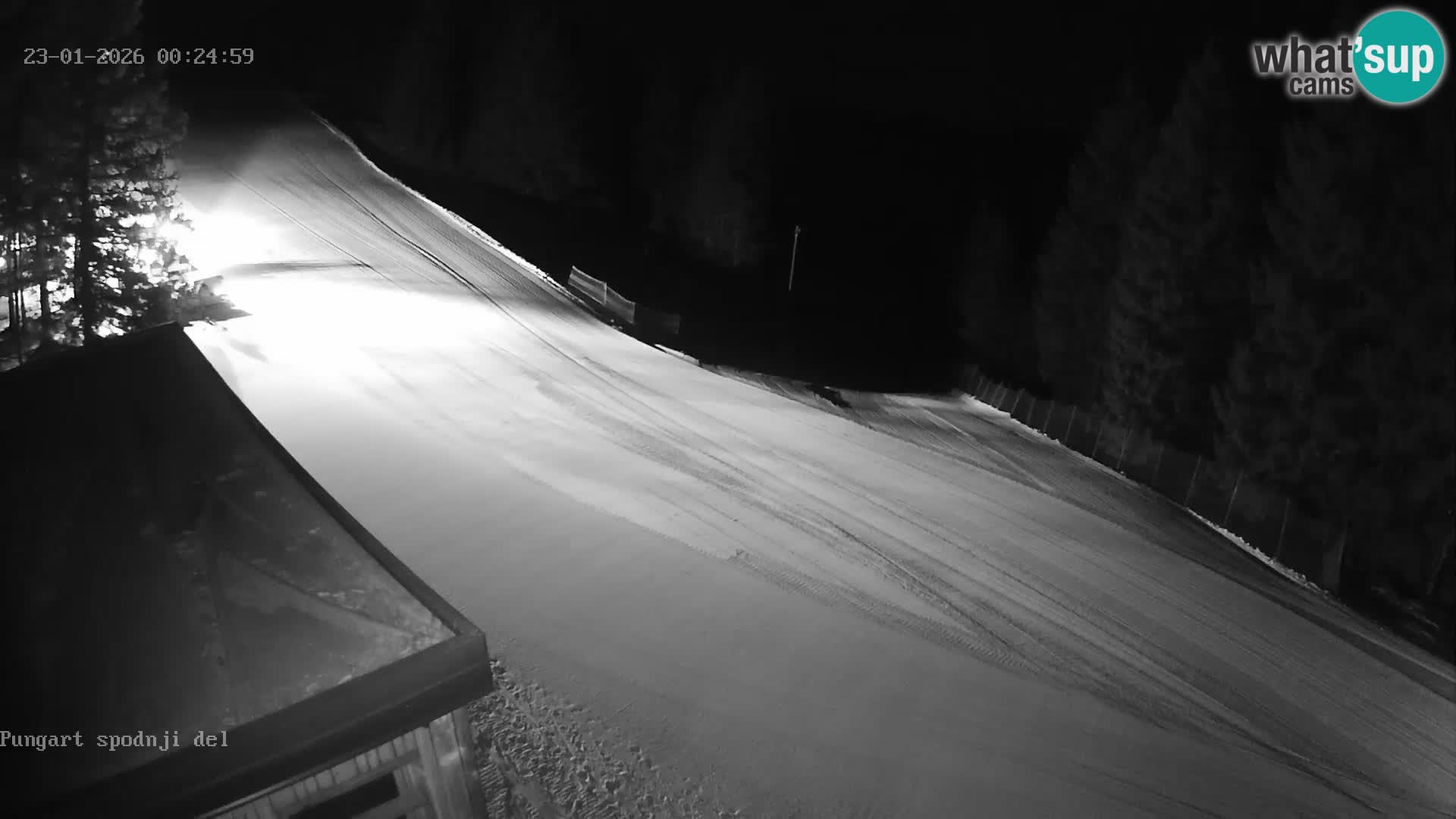 Spletna kamera Kope – Pungart v živo