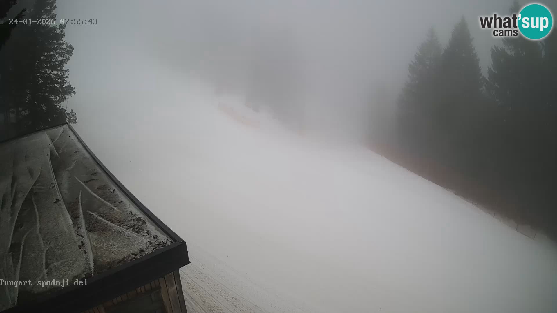 Spletna kamera Kope – Pungart v živo