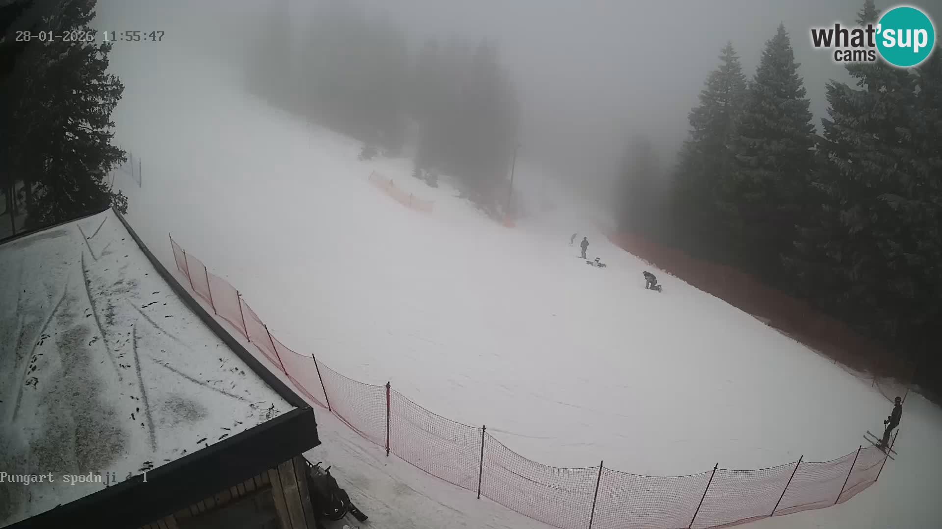 Spletna kamera Kope – Pungart v živo