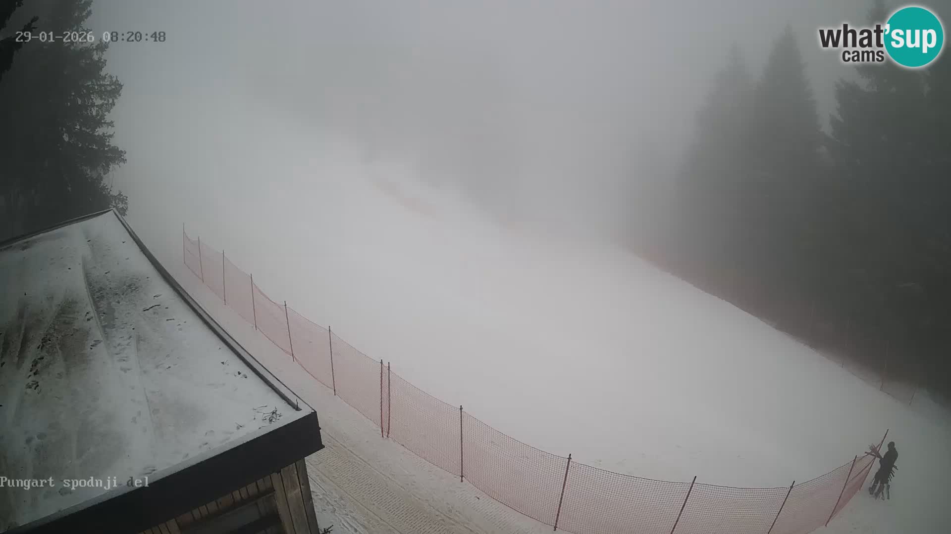 Spletna kamera Kope – Pungart v živo