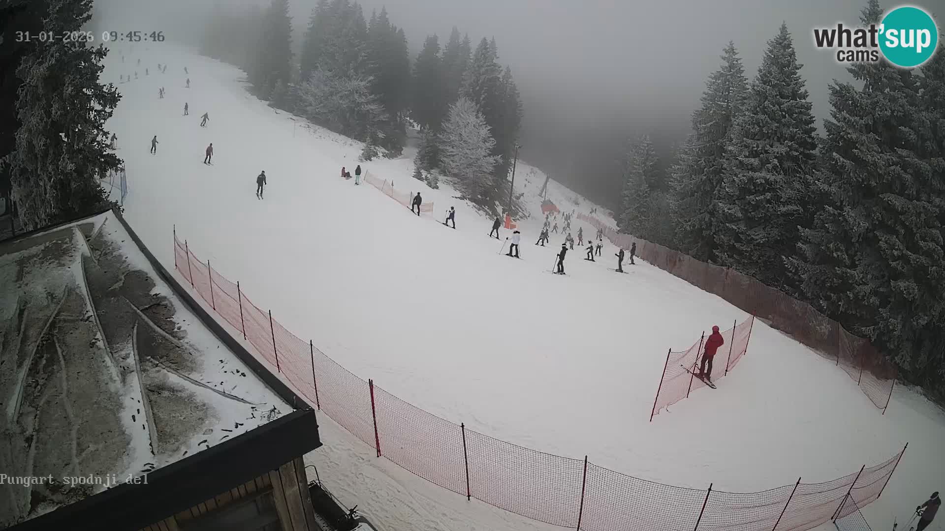 Kope Ski Resort – Pungart Live Webcam
