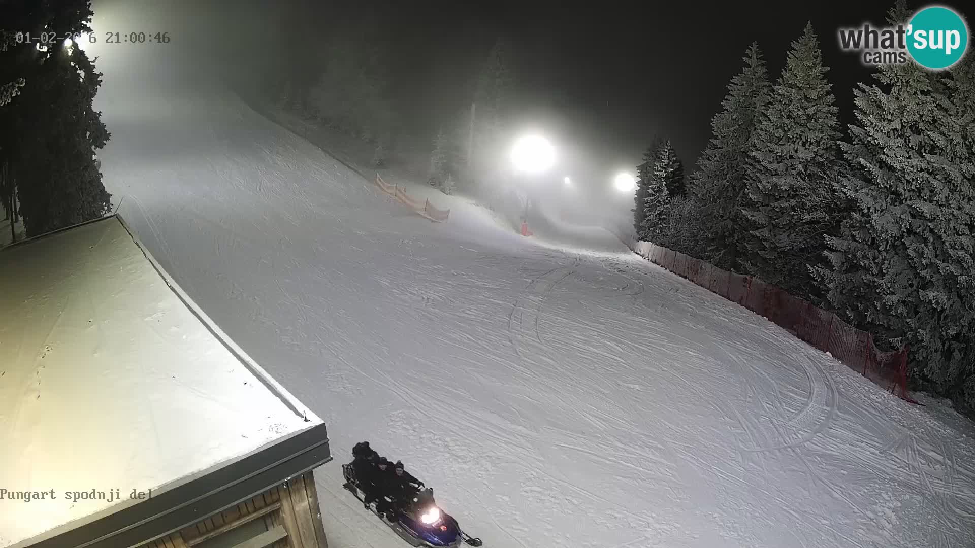 Spletna kamera Kope – Pungart v živo