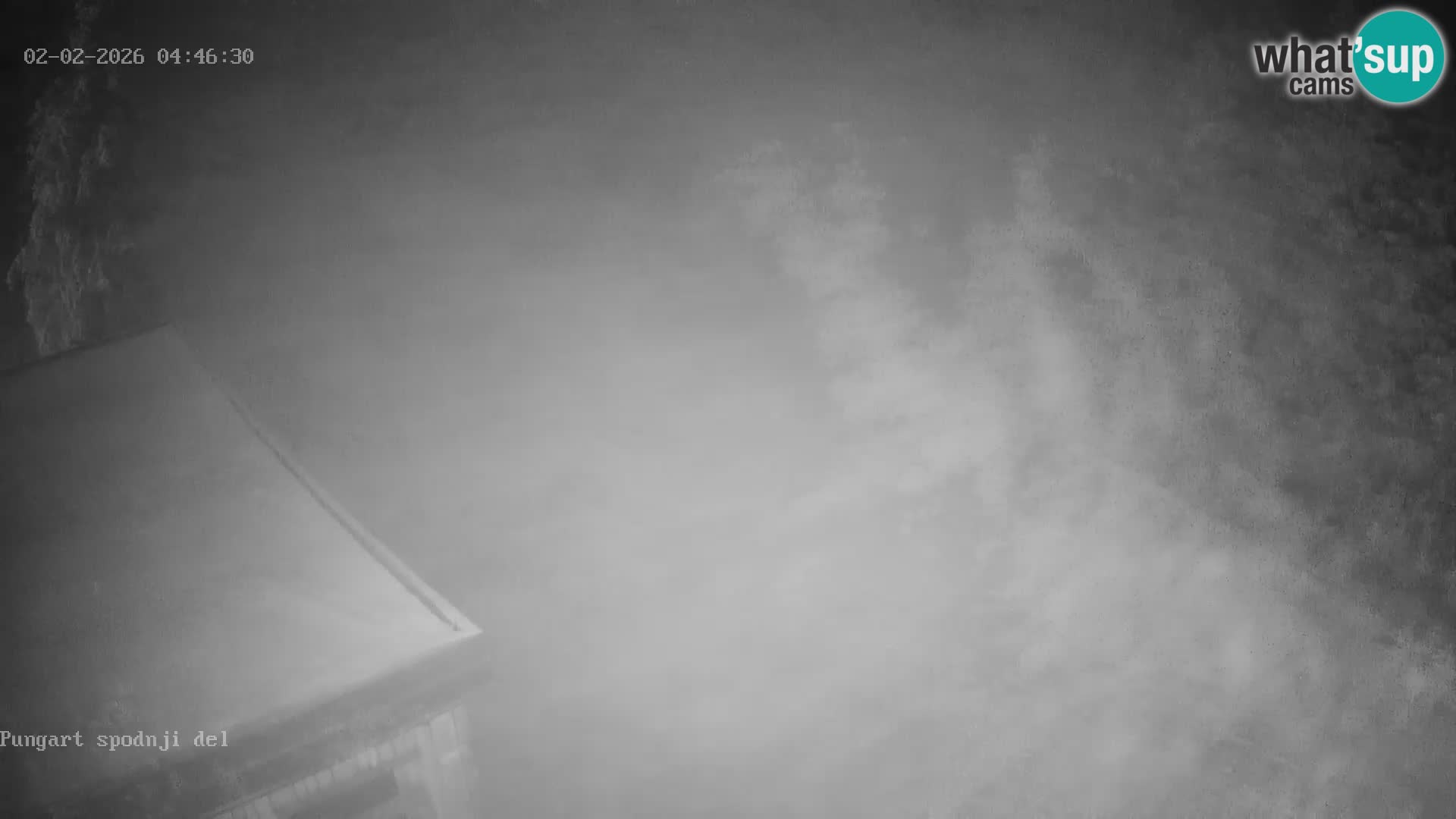 Spletna kamera Kope – Pungart v živo