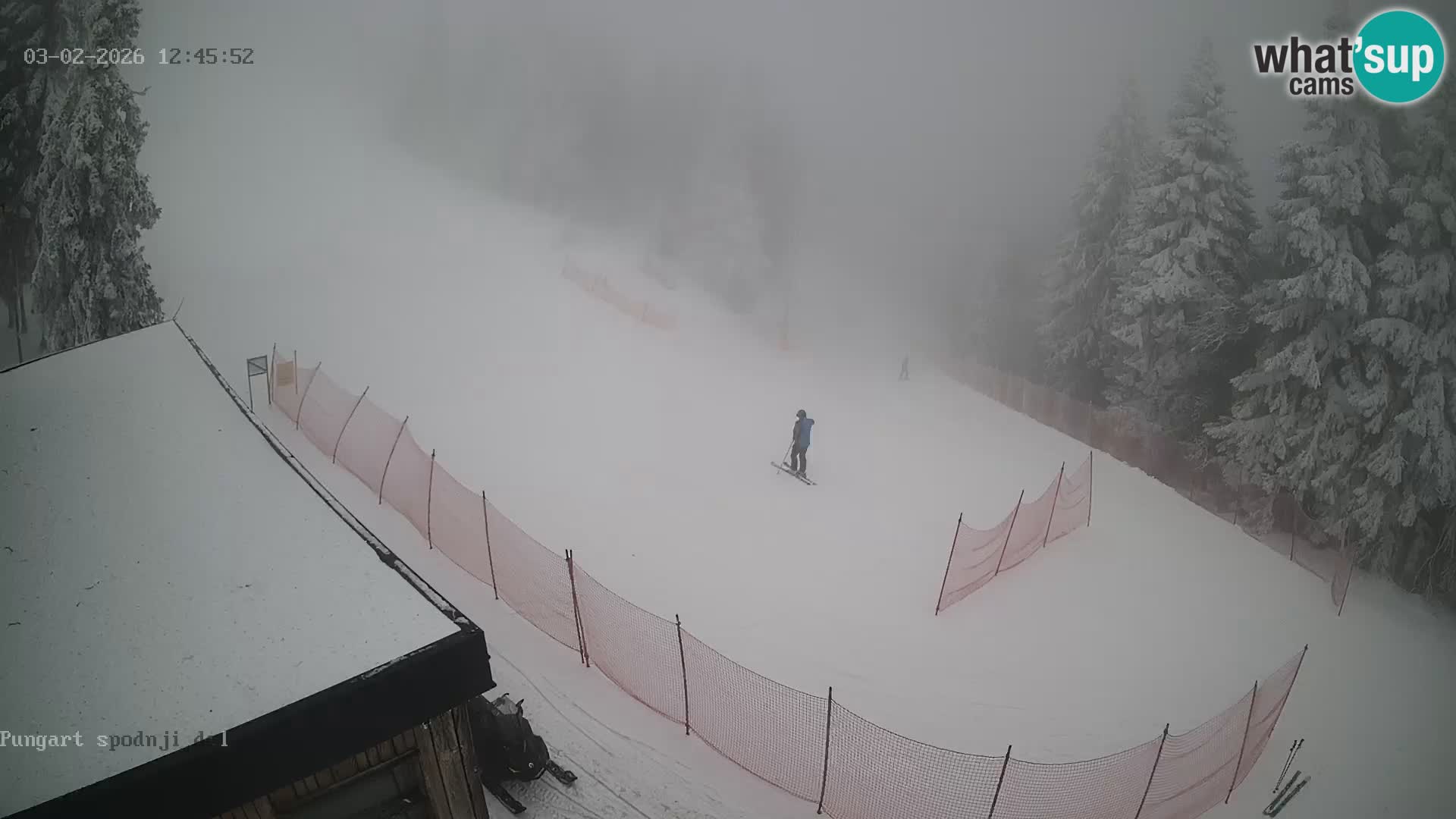 Spletna kamera Kope – Pungart v živo