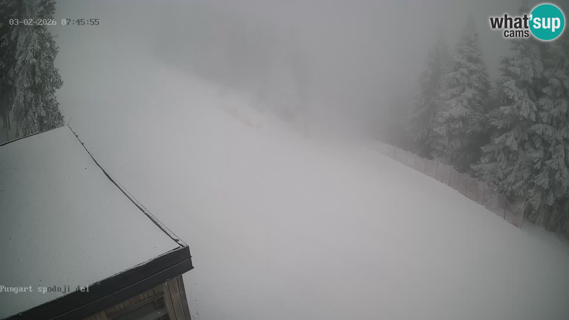 Spletna kamera Kope – Pungart v živo