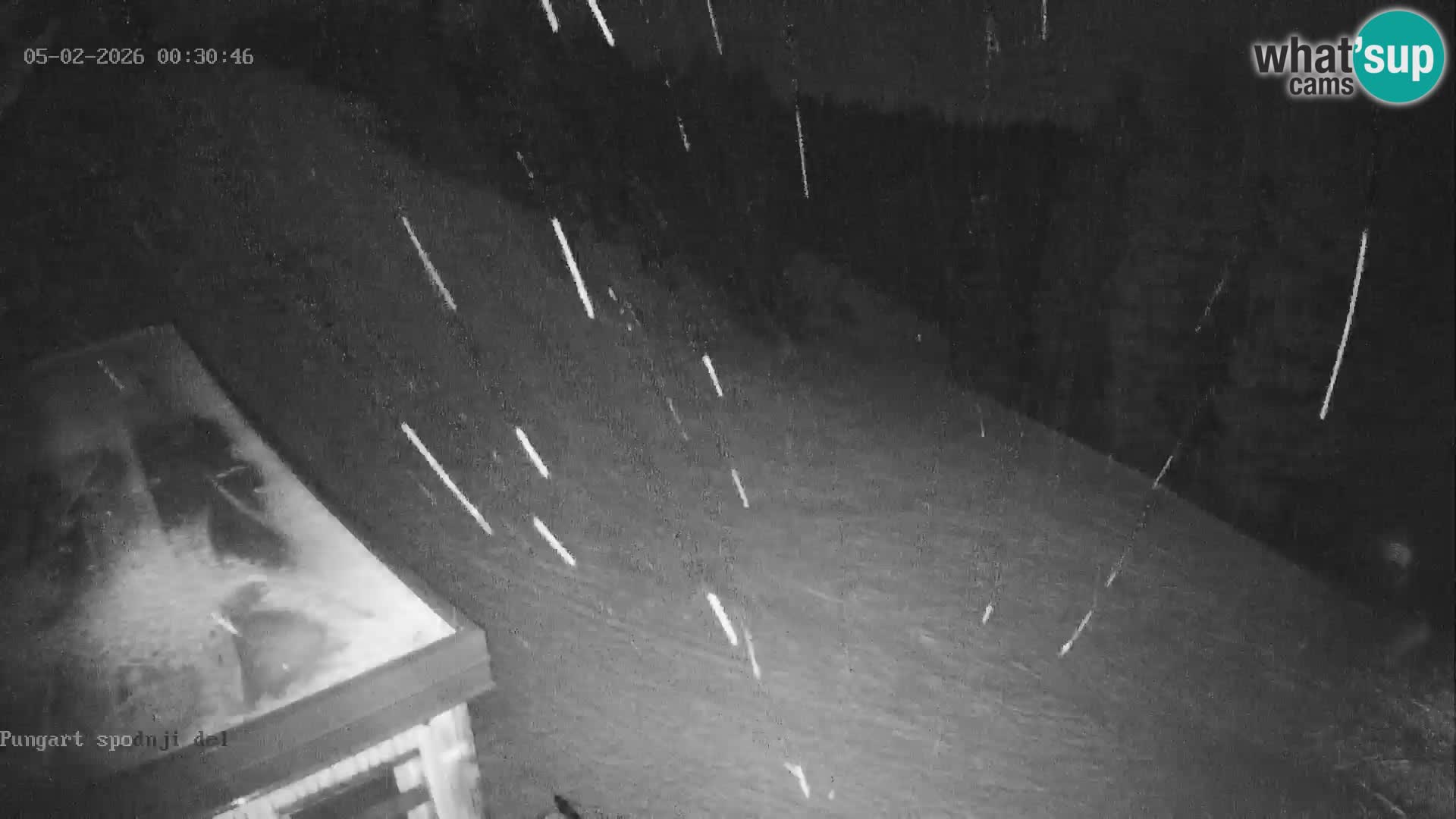 Spletna kamera Kope – Pungart v živo