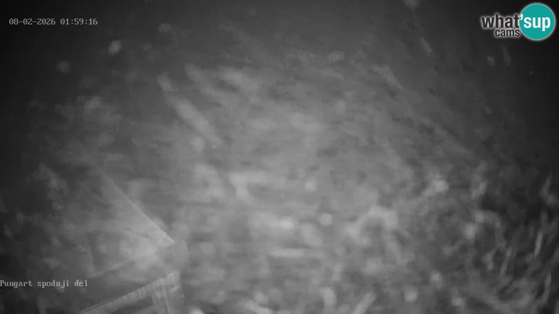 Kope Ski Resort – Webcam Pungart in diretta