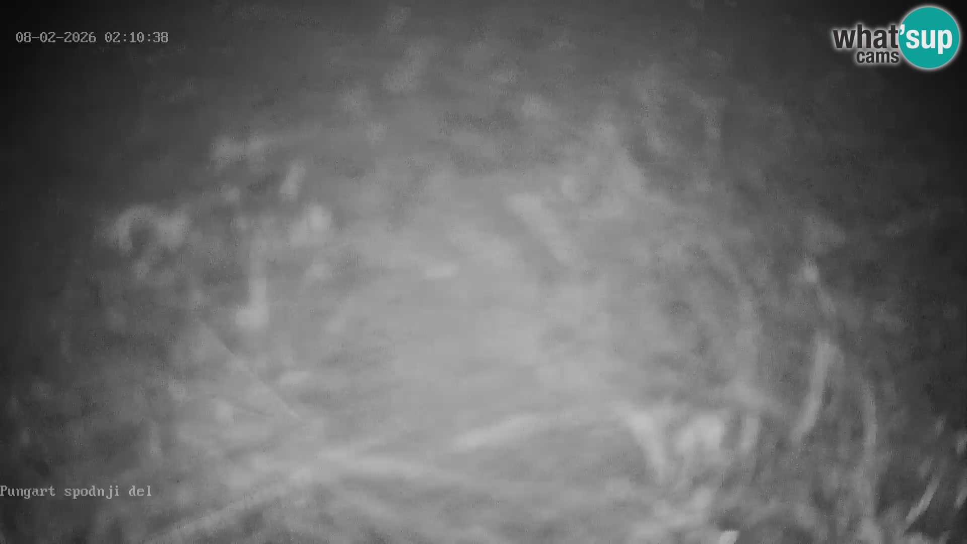 Kope Ski Resort – Webcam Pungart en directo