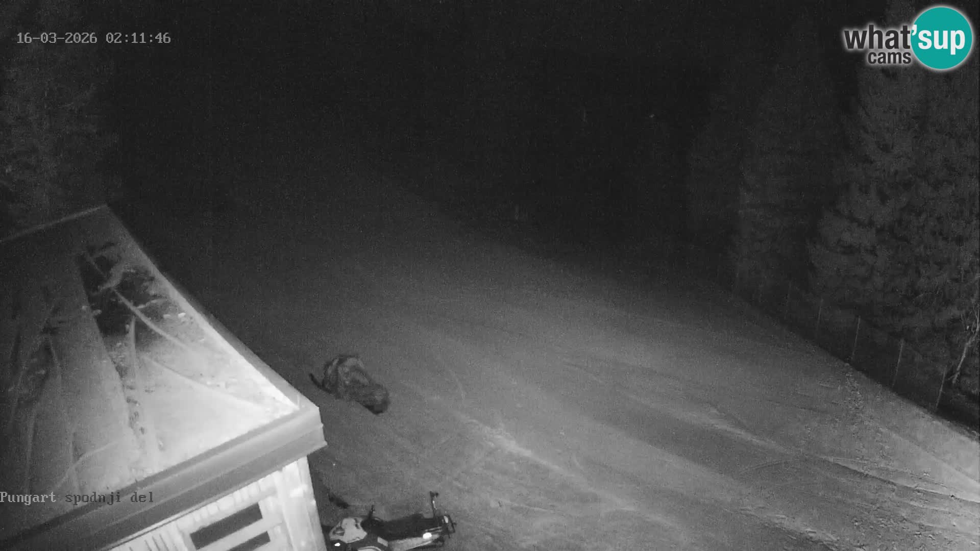 Kope Ski Resort – Webcam Pungart en direct