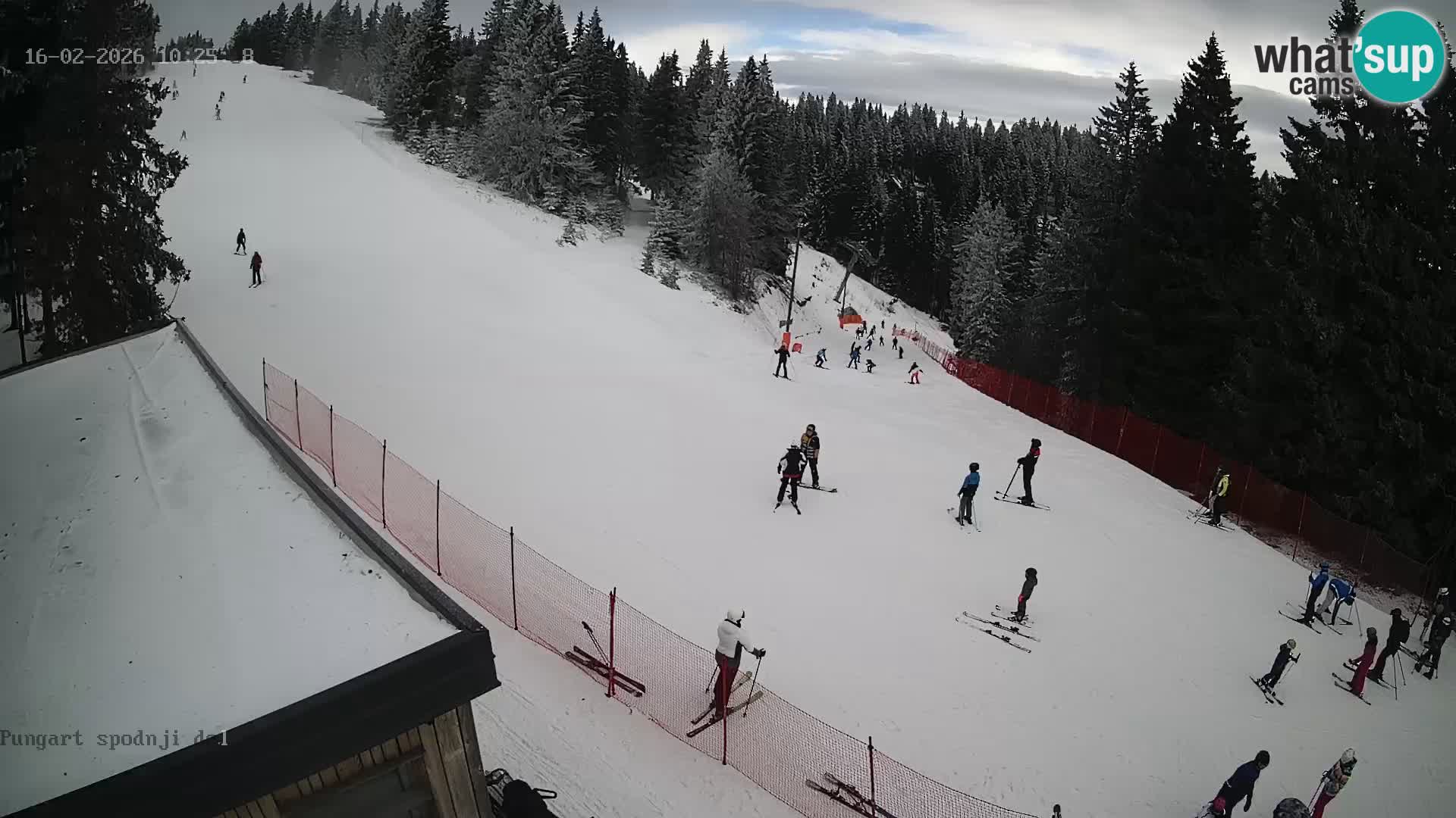 Spletna kamera Kope – Pungart v živo