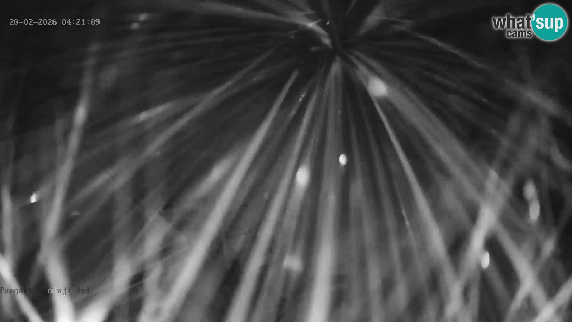 Kope Ski Resort – Webcam Pungart in diretta