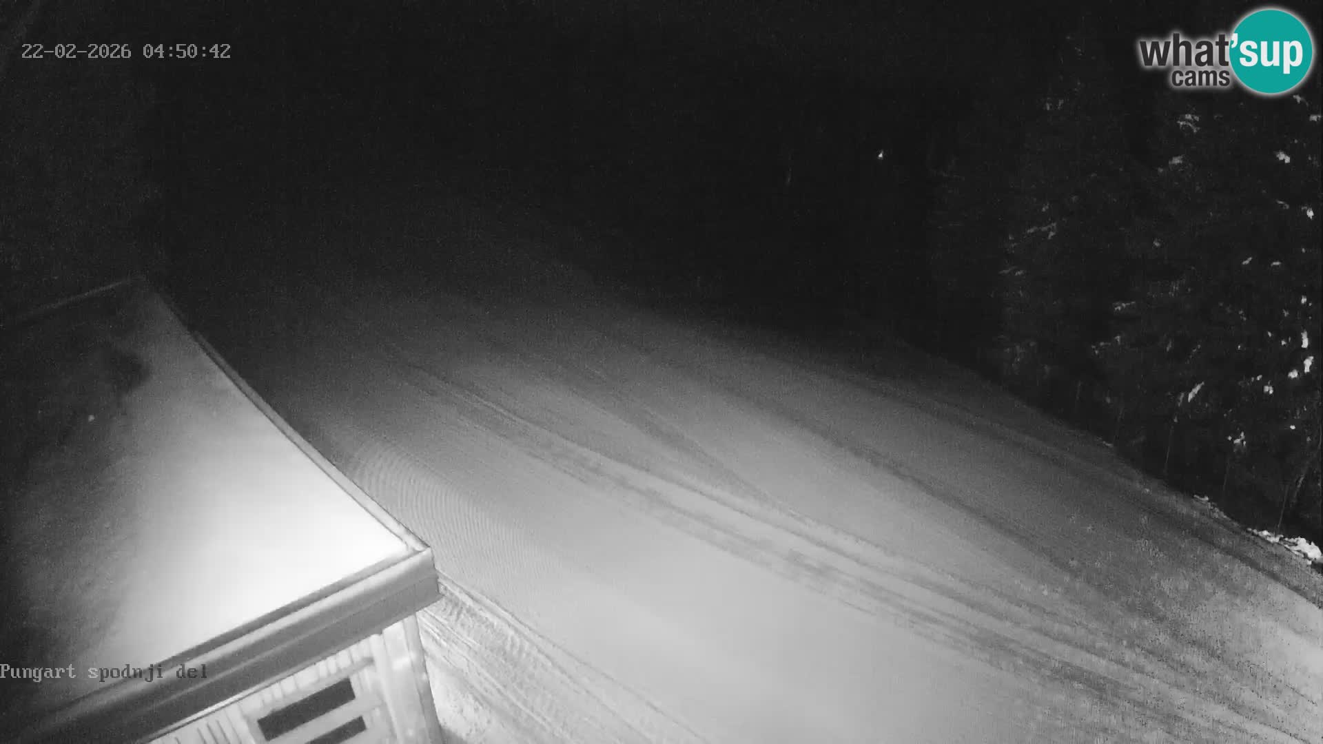 Spletna kamera Kope – Pungart v živo