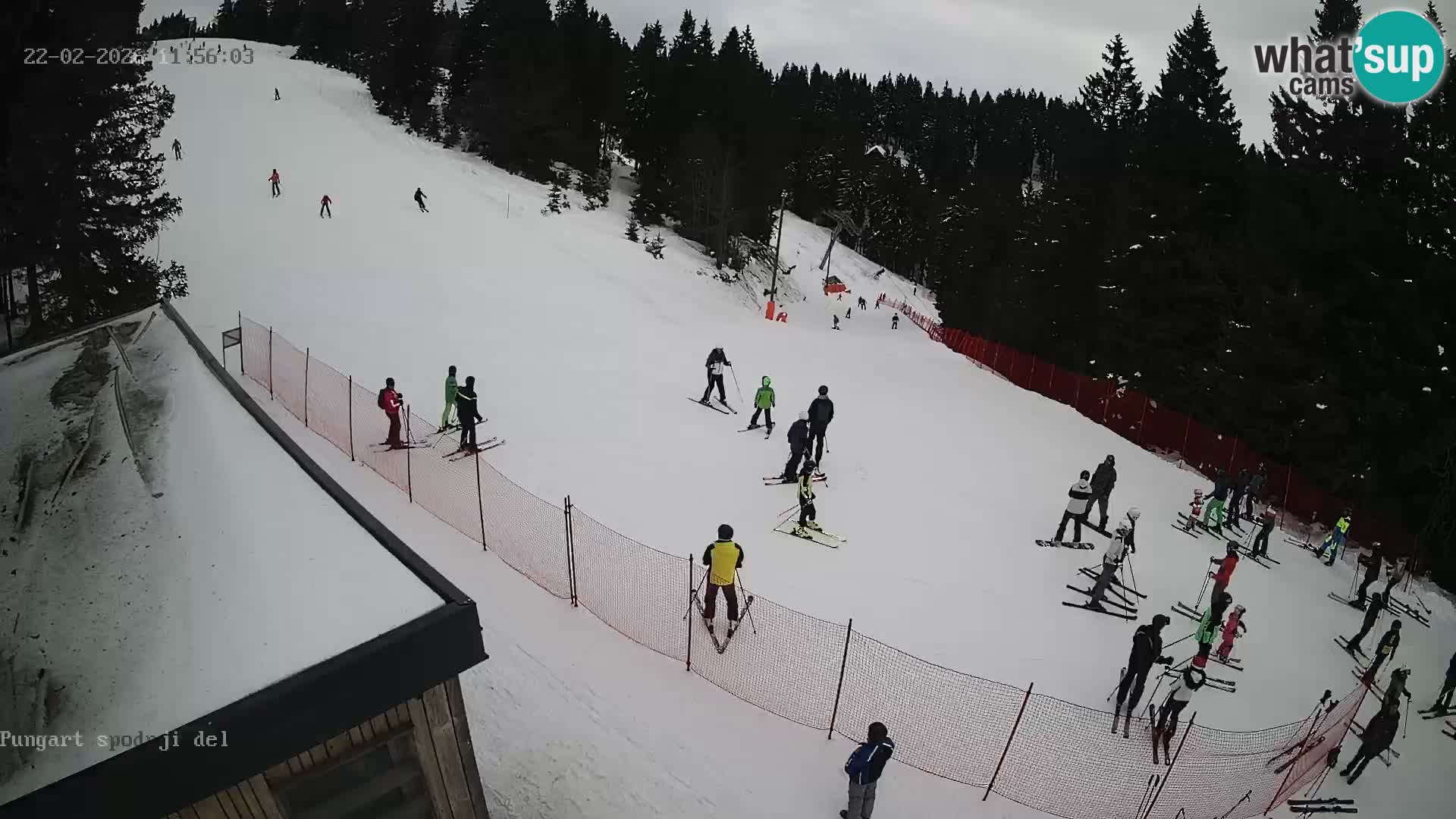 Kope Ski Resort – Pungart Live Webcam