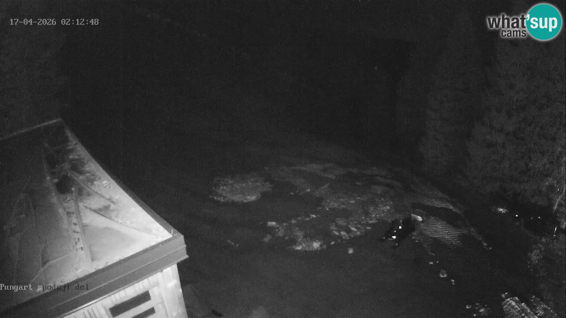 Spletna kamera Kope – Pungart v živo