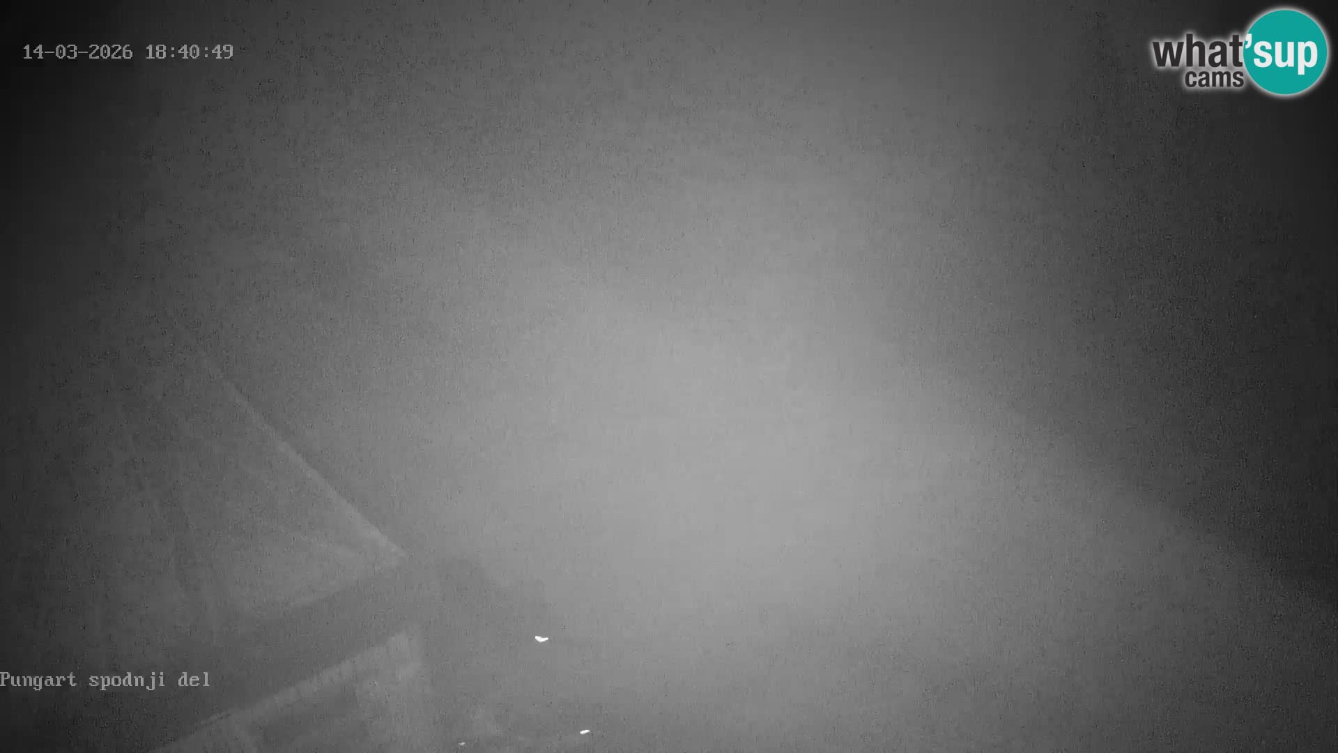 Spletna kamera Kope – Pungart v živo