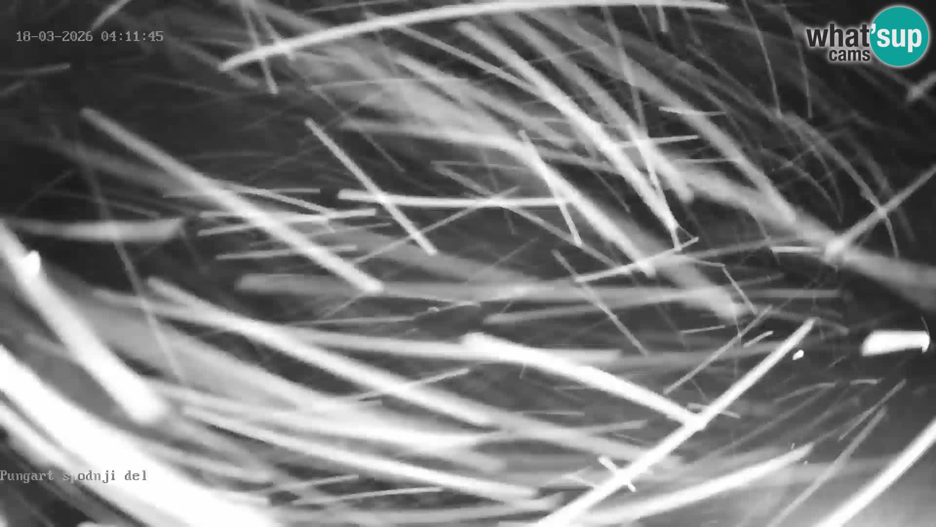 Kope Ski resort | Pungart