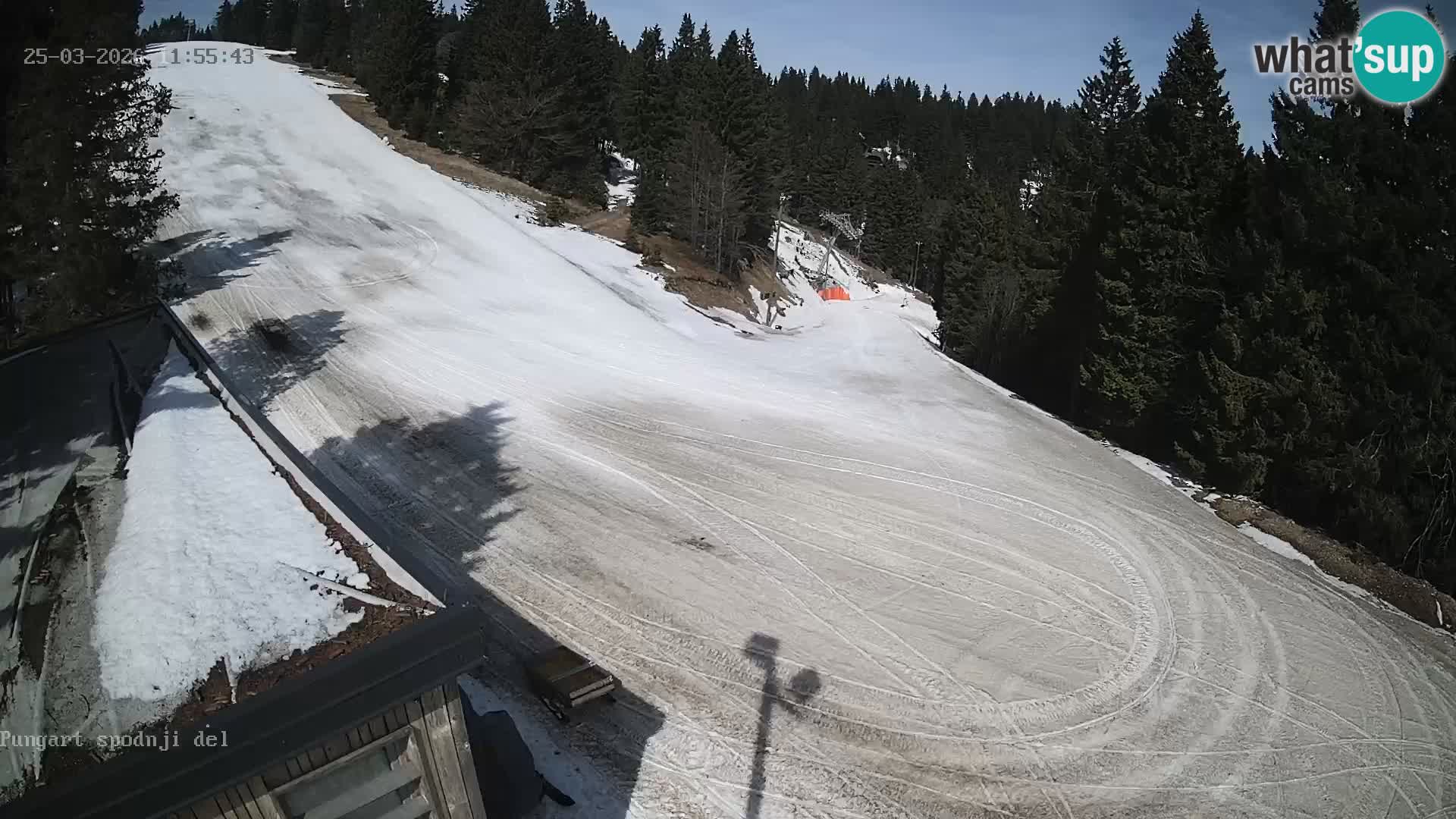 Kope Ski Resort – Pungart Live Webcam