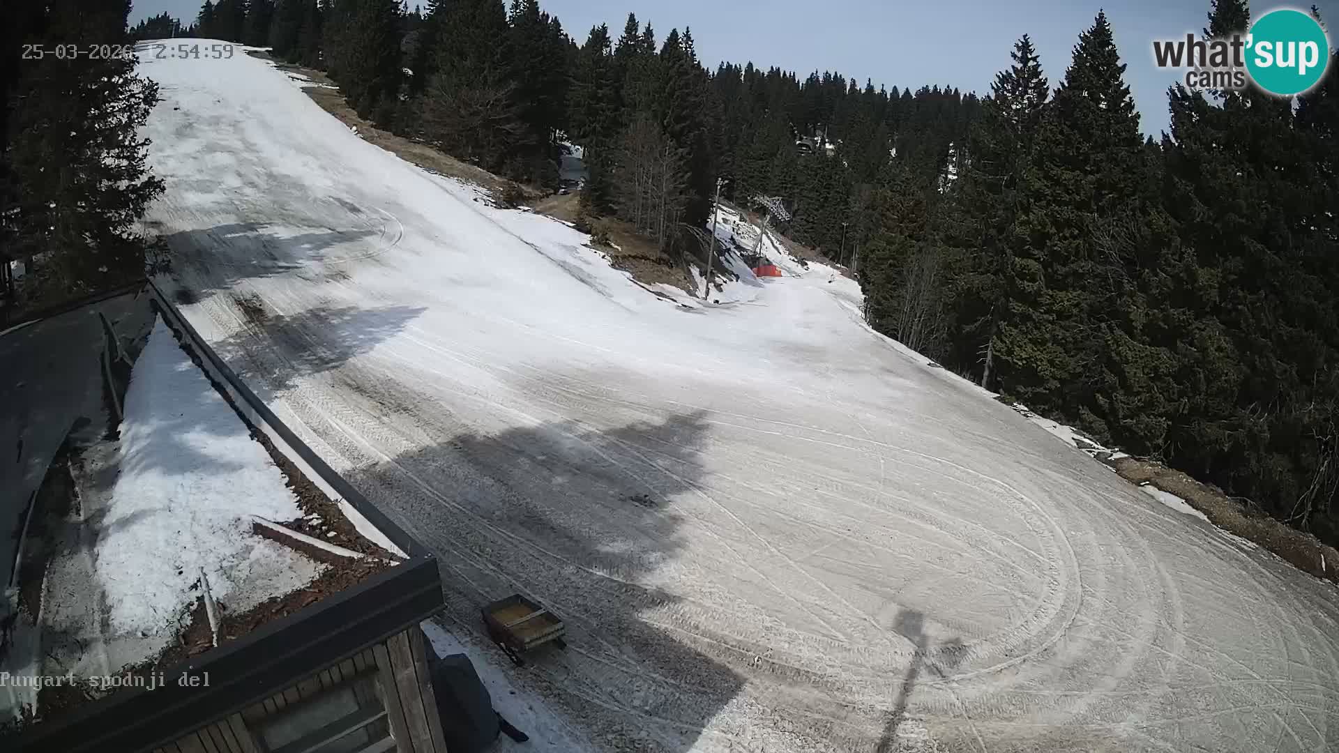 Spletna kamera Kope – Pungart v živo