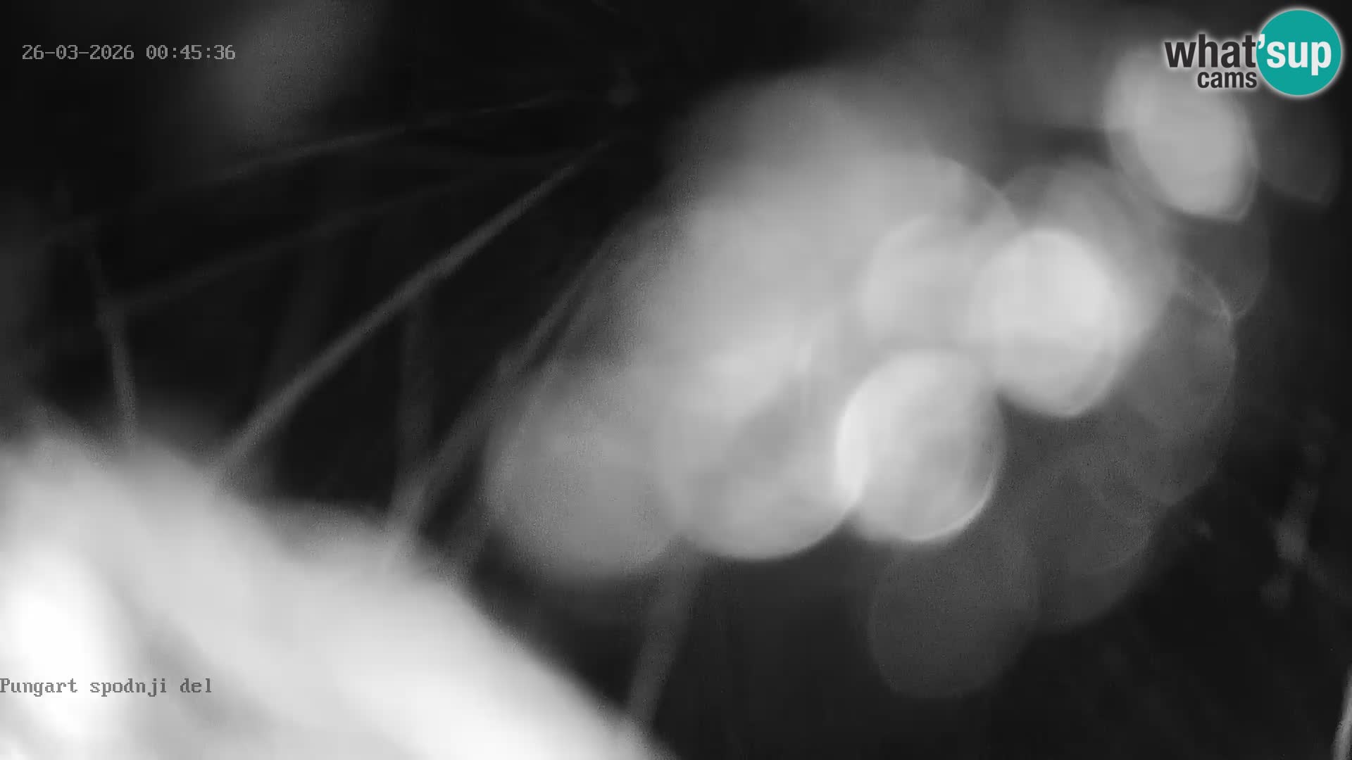 Skigebiet Kope – Pungart Live-Webcam