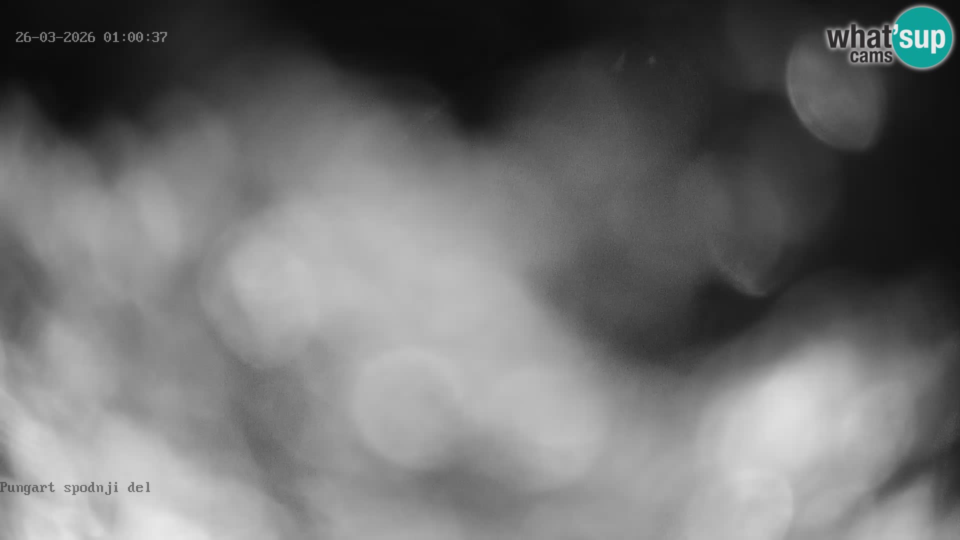 Kope Ski Resort – Webcam Pungart in diretta