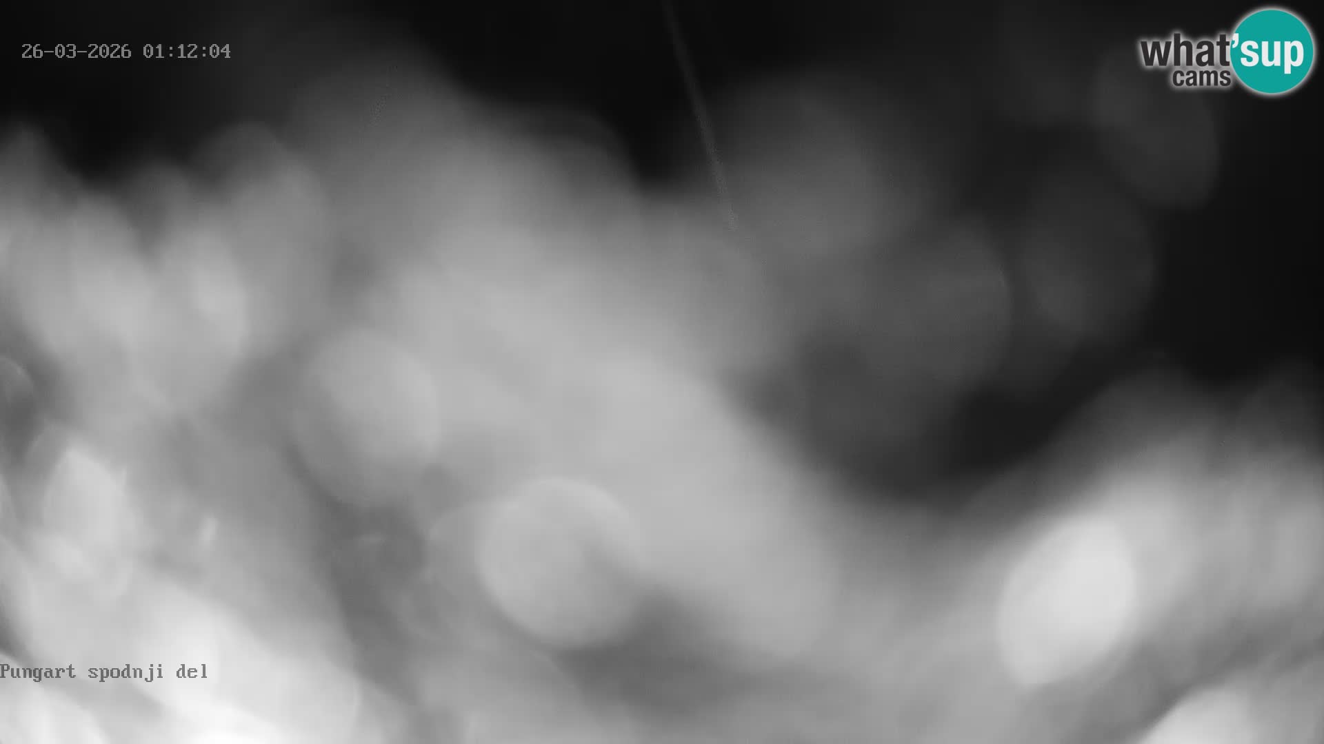 Spletna kamera Kope – Pungart v živo