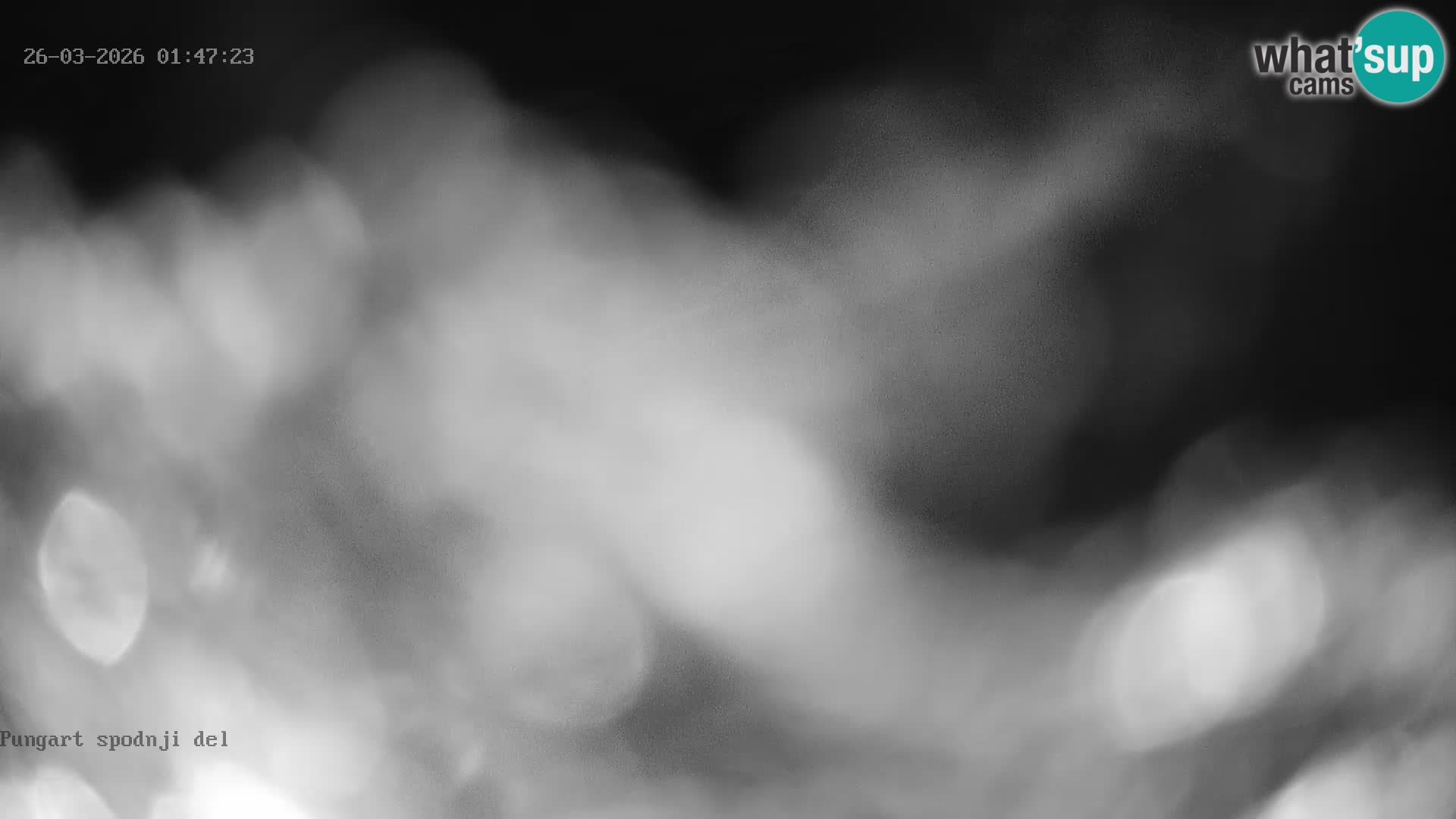 Kope Ski Resort – Web kamera Pungart uživo