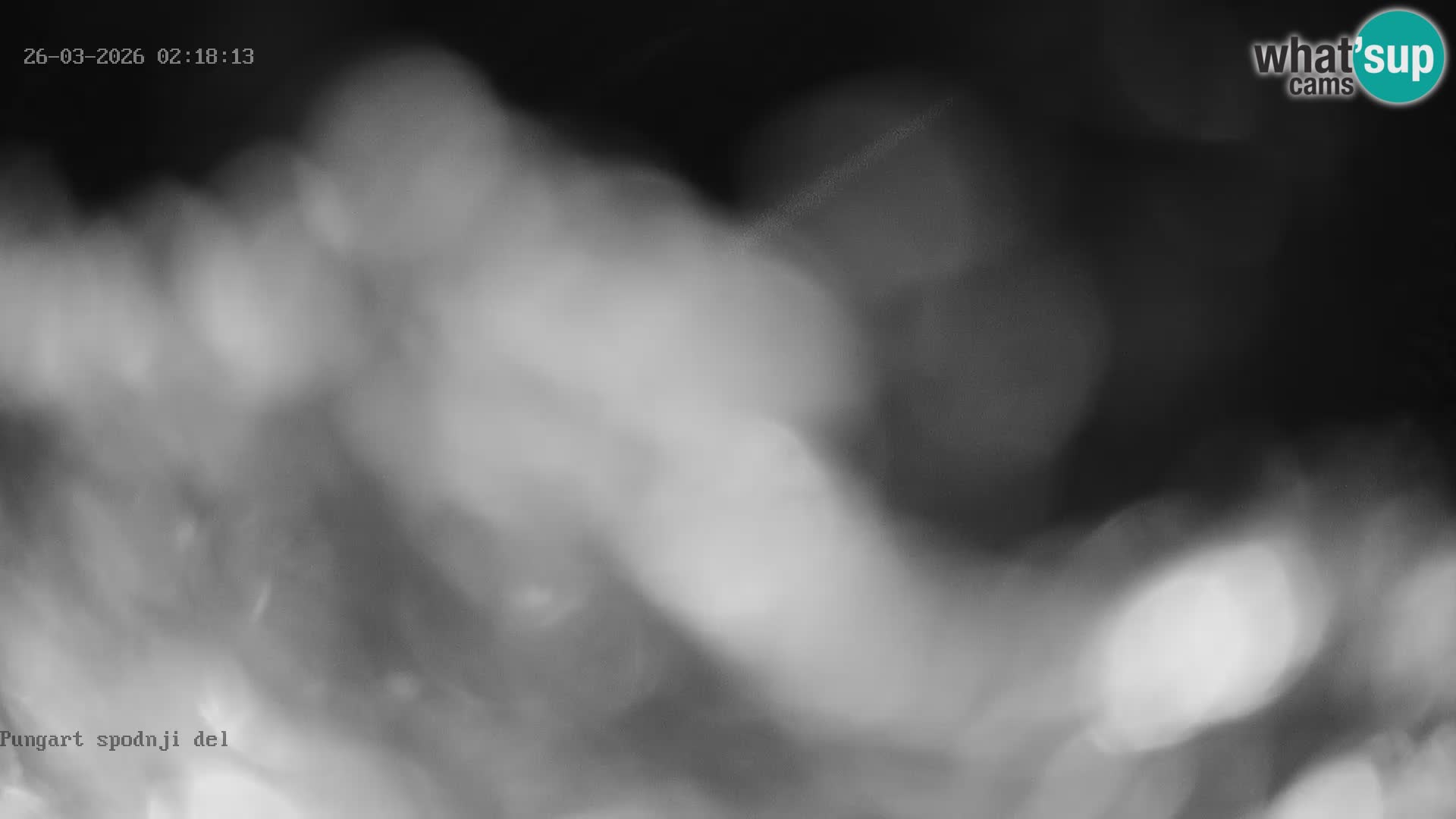 Kope Ski Resort – Webcam Pungart en direct