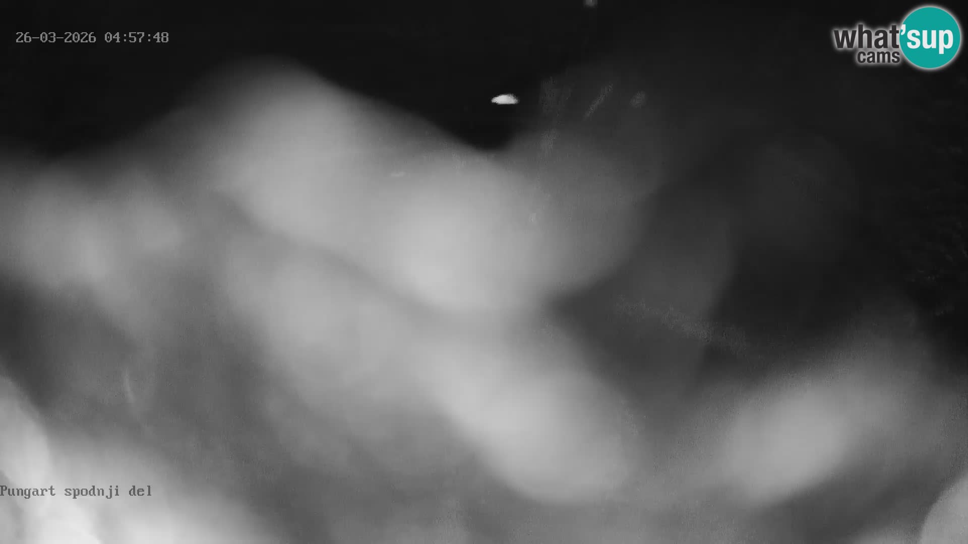 Spletna kamera Kope – Pungart v živo