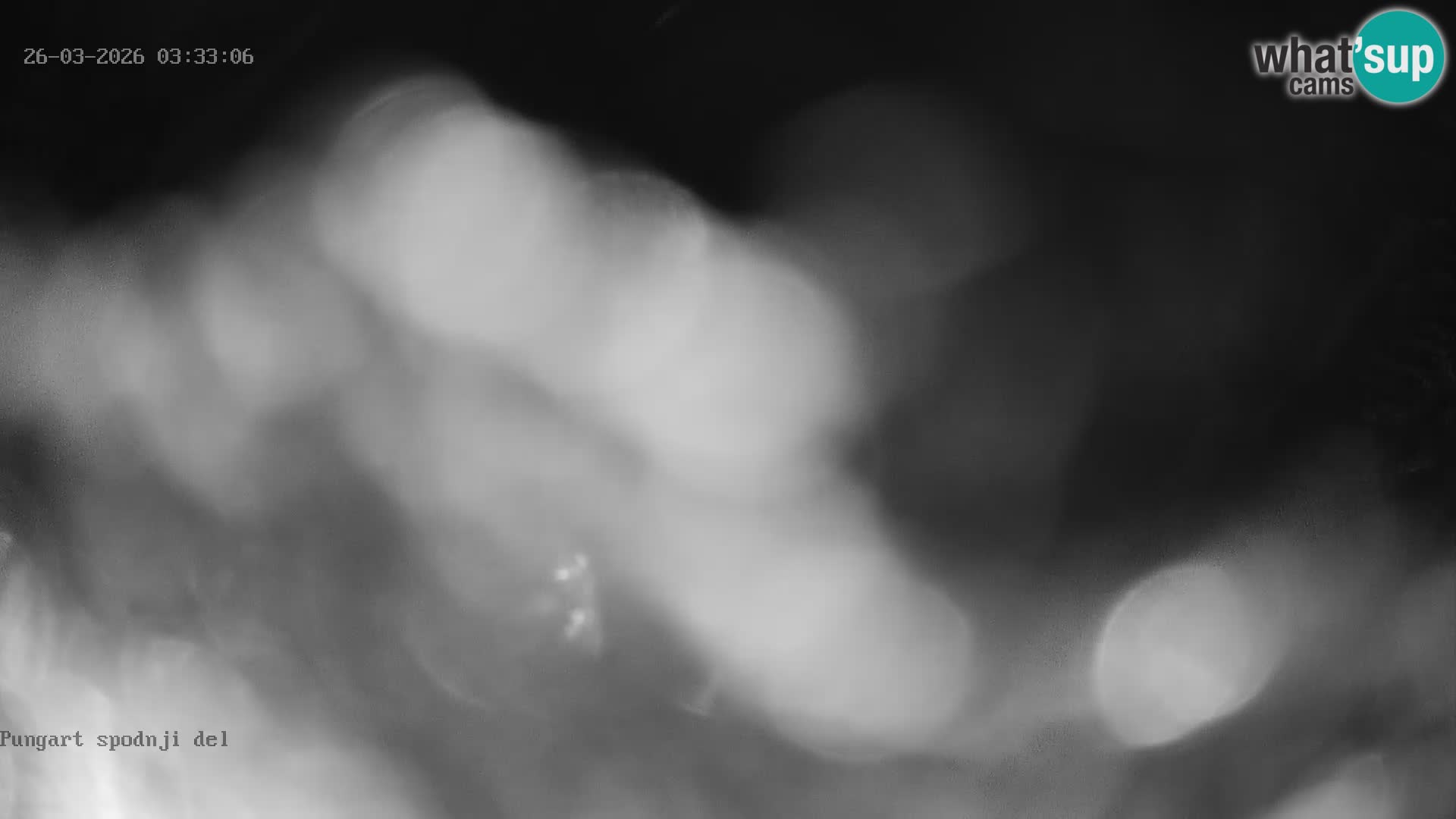 Kope Ski Resort – Web kamera Pungart uživo