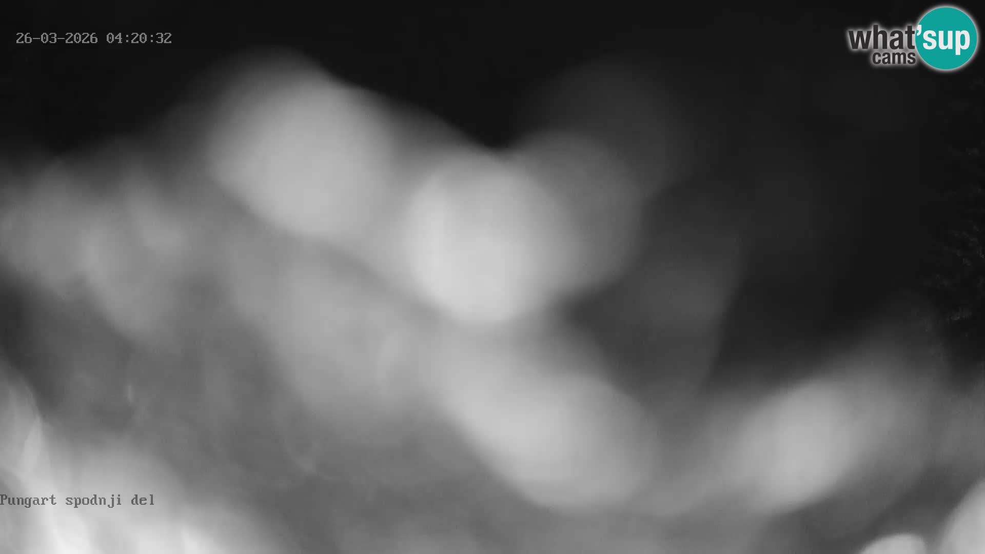 Kope Ski Resort – Webcam Pungart en direct