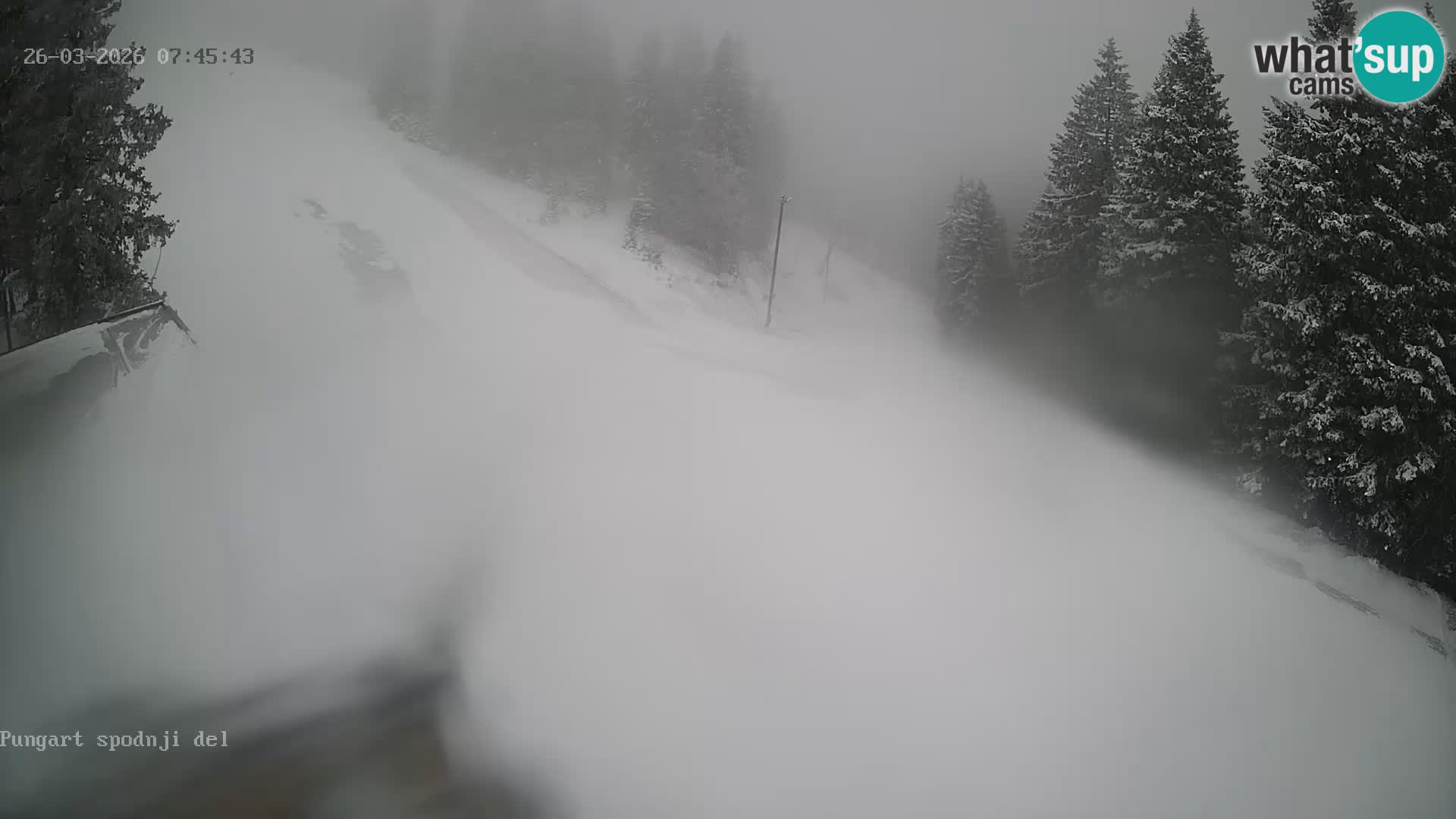 Spletna kamera Kope – Pungart v živo