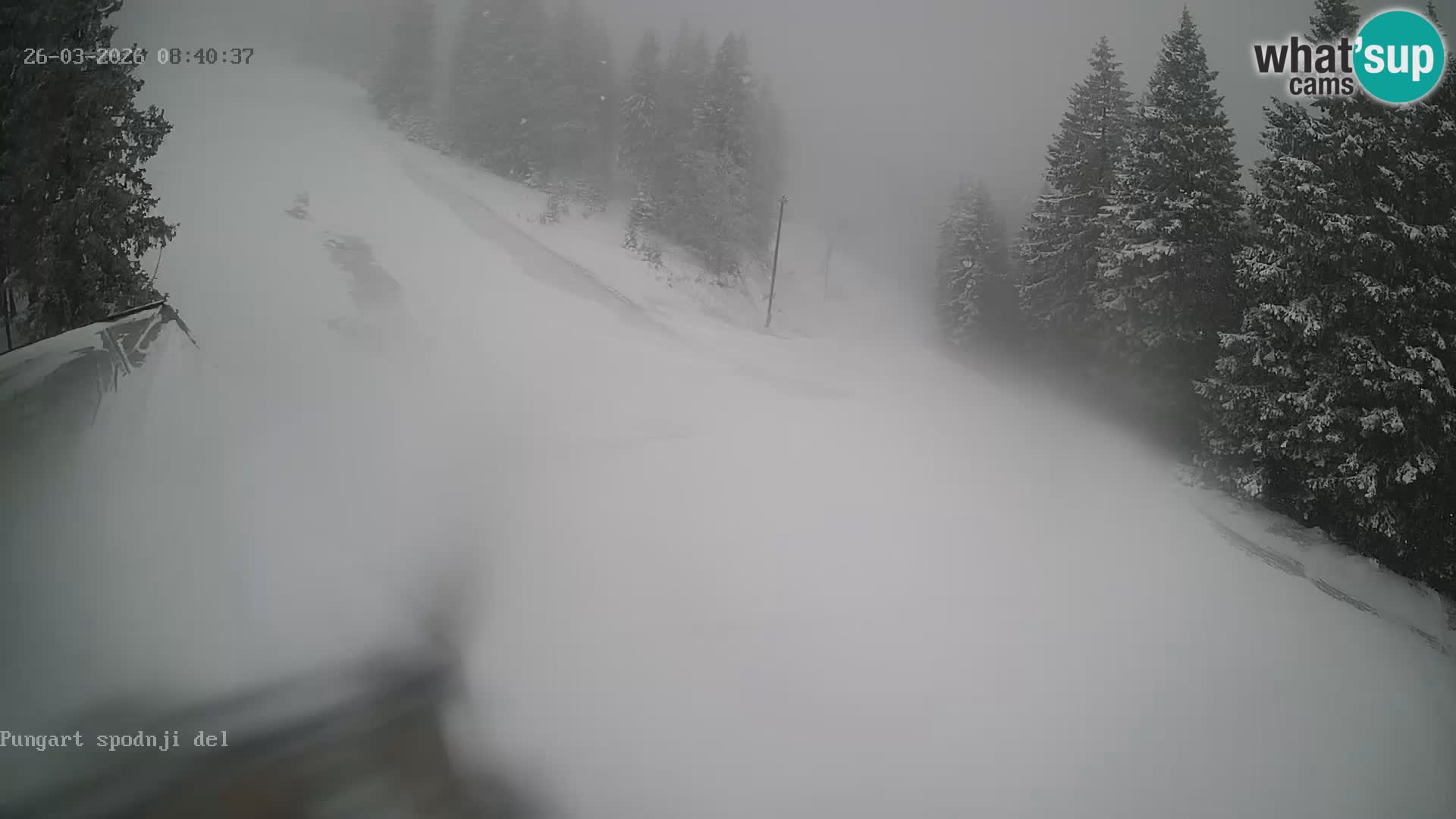 Kope Ski Resort – Pungart Live Webcam