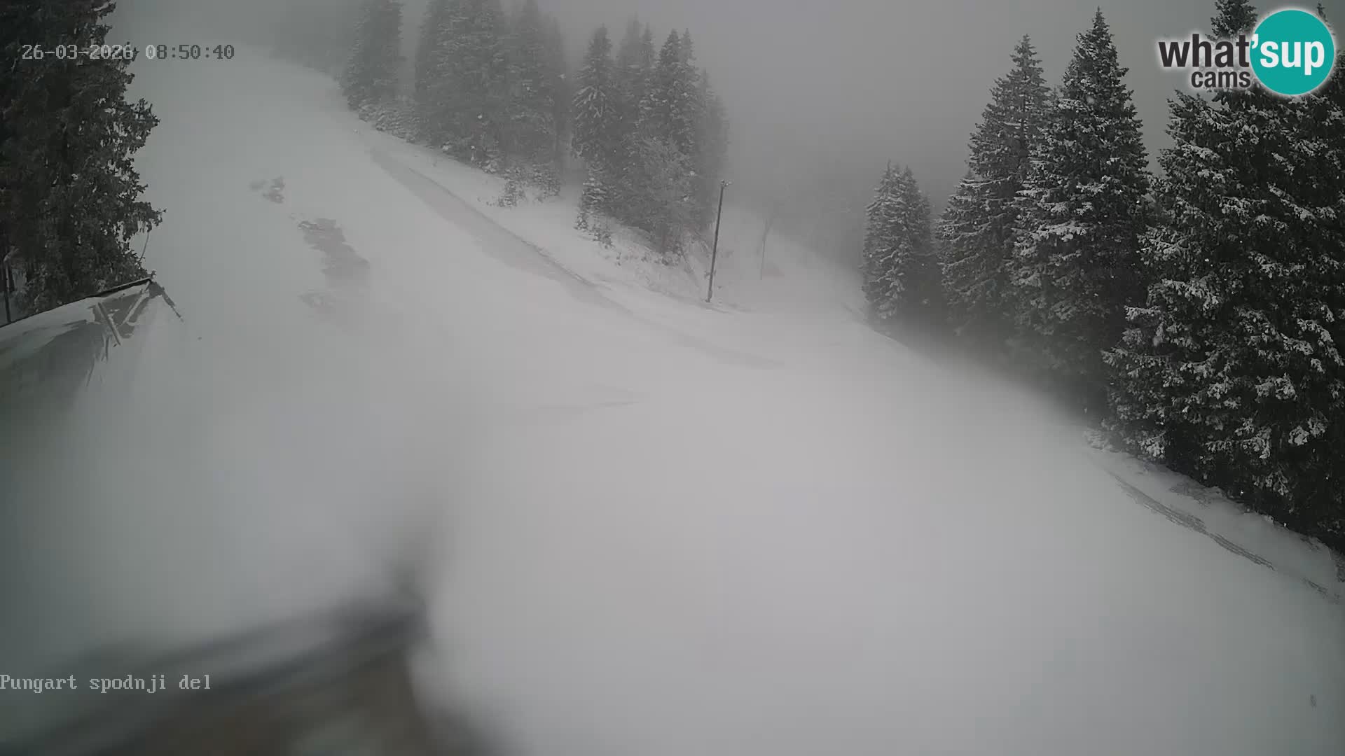 Kope Ski Resort – Webcam Pungart en direct