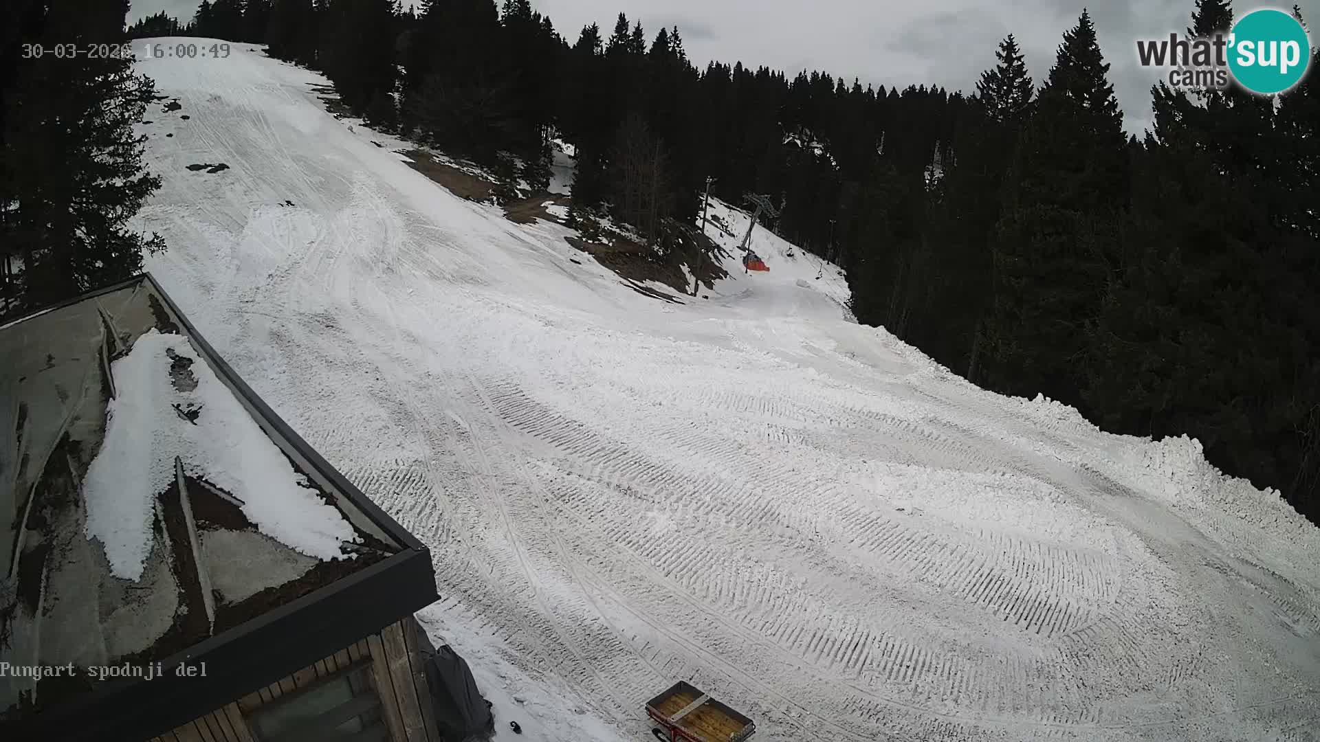 Spletna kamera Kope – Pungart v živo