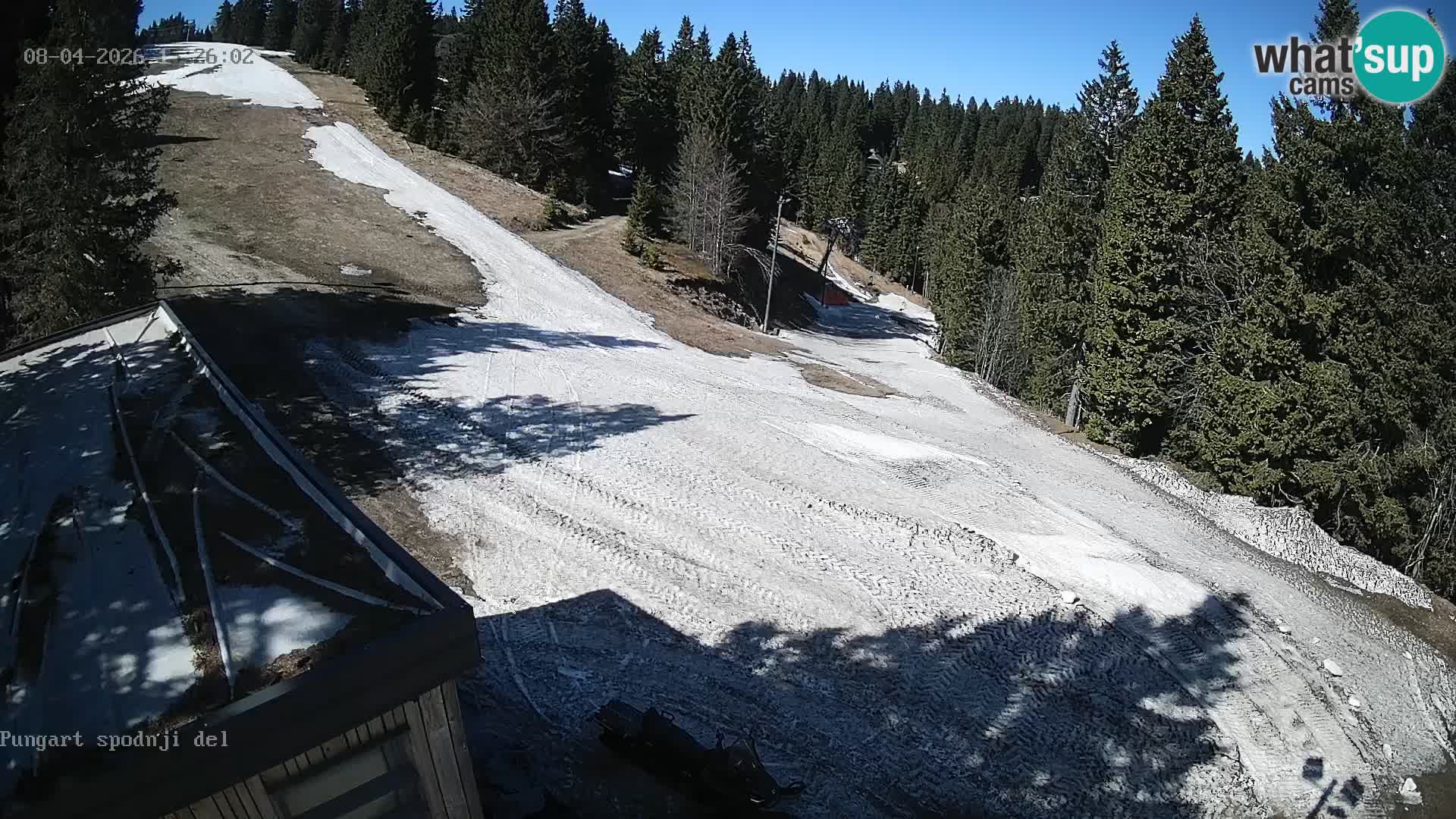 Spletna kamera Kope – Pungart v živo